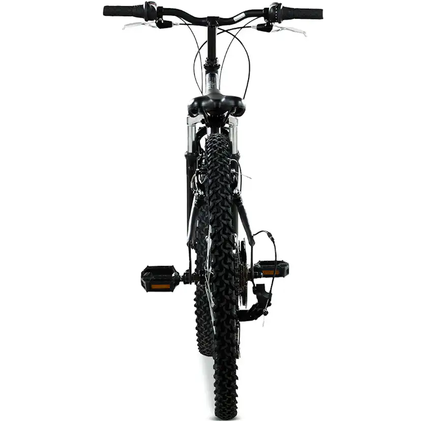 Mountainbike Trekkrunner Ryko Dirt MTB 26 18vxl