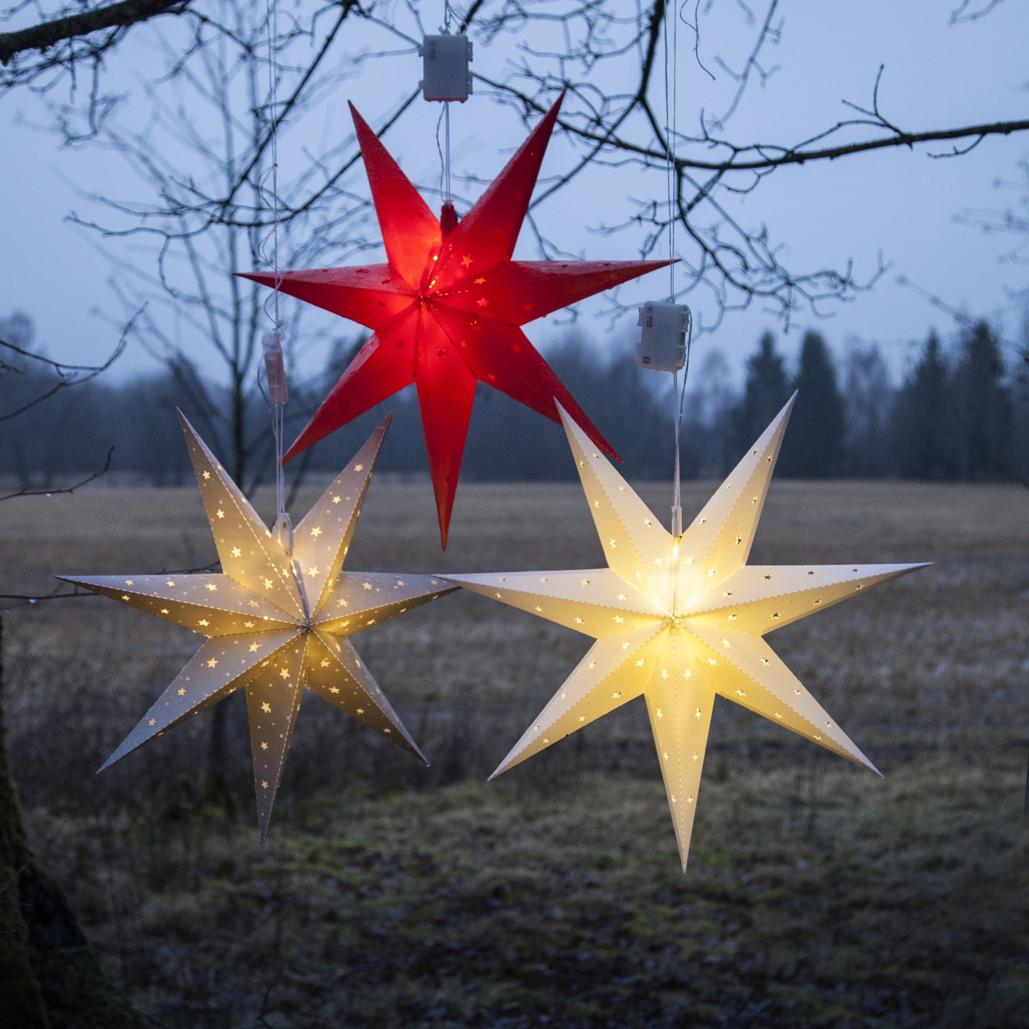 Adventsstjärna Star Trading Alice