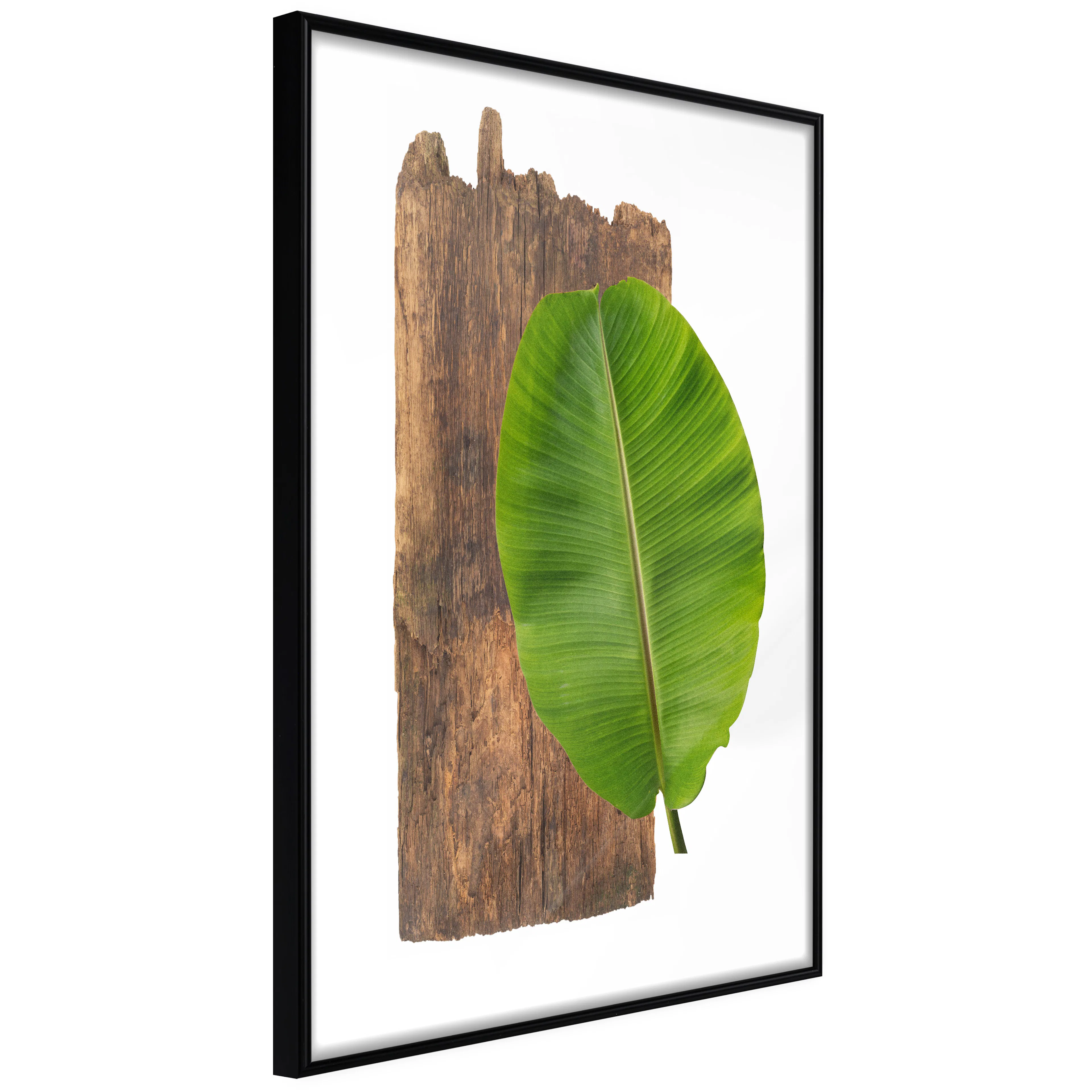 Affisch - Authority of Nature [Poster] 20x30 Svart ram, 20x30 cm