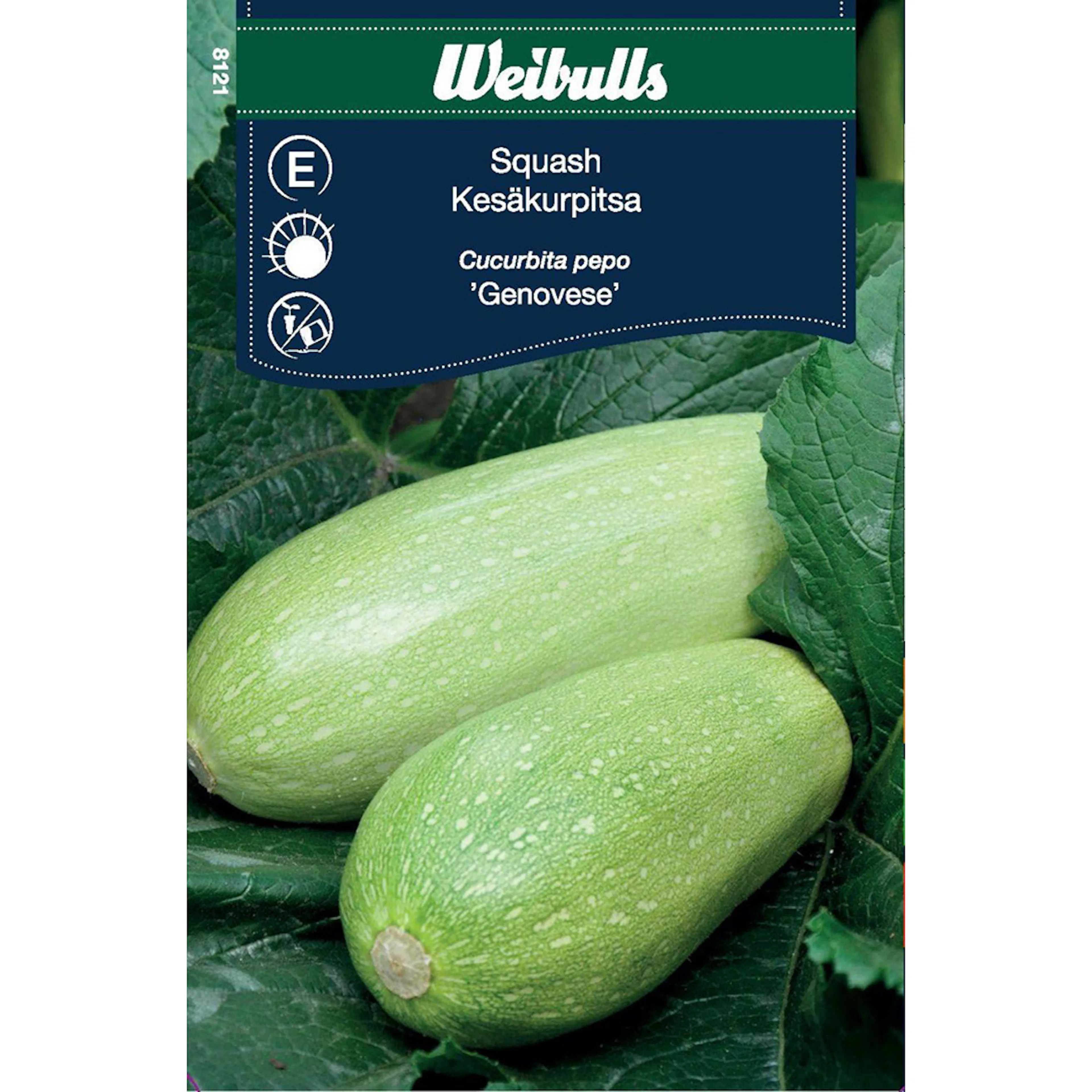 Frö Squash Weibulls Genovese
