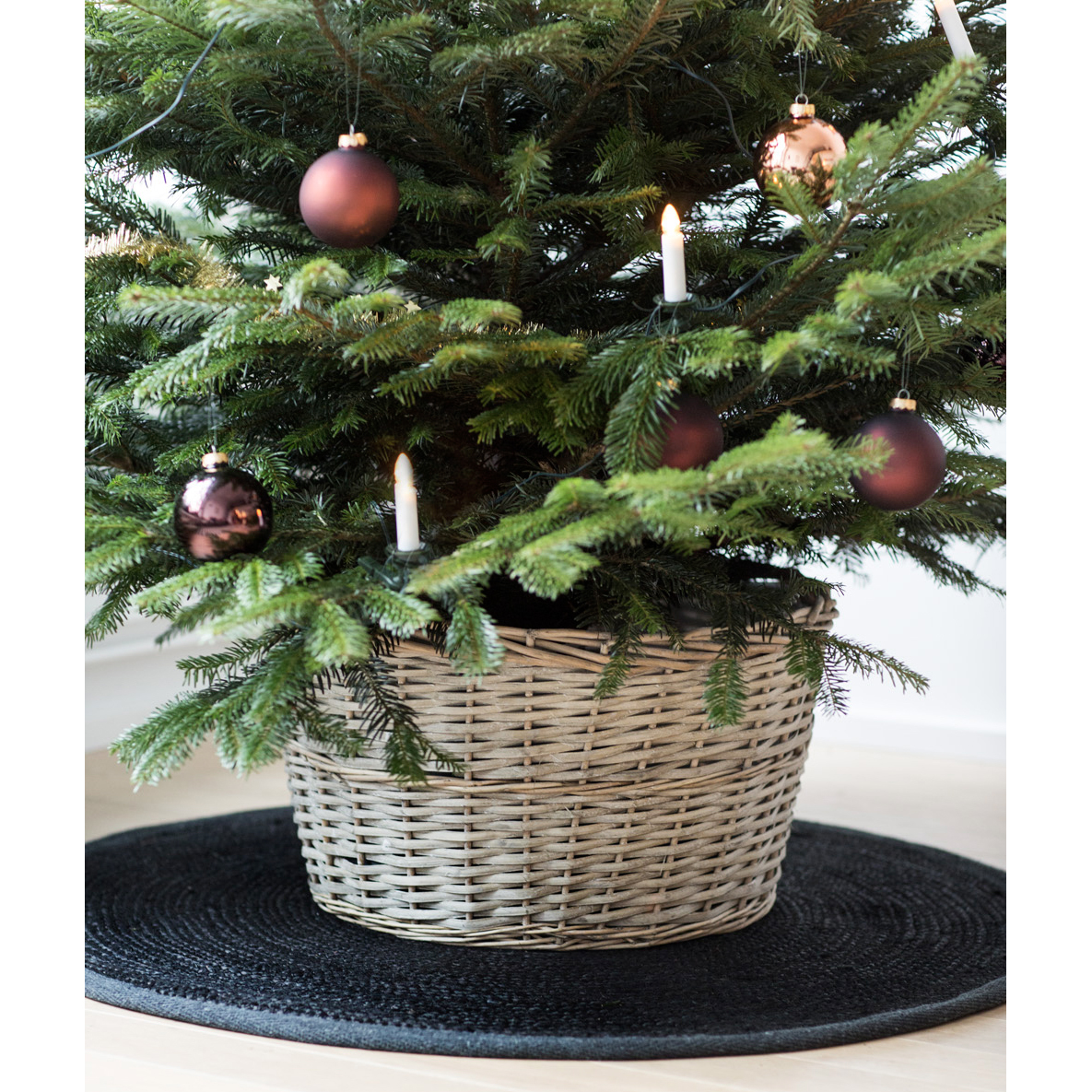 Korg by Benson Smart