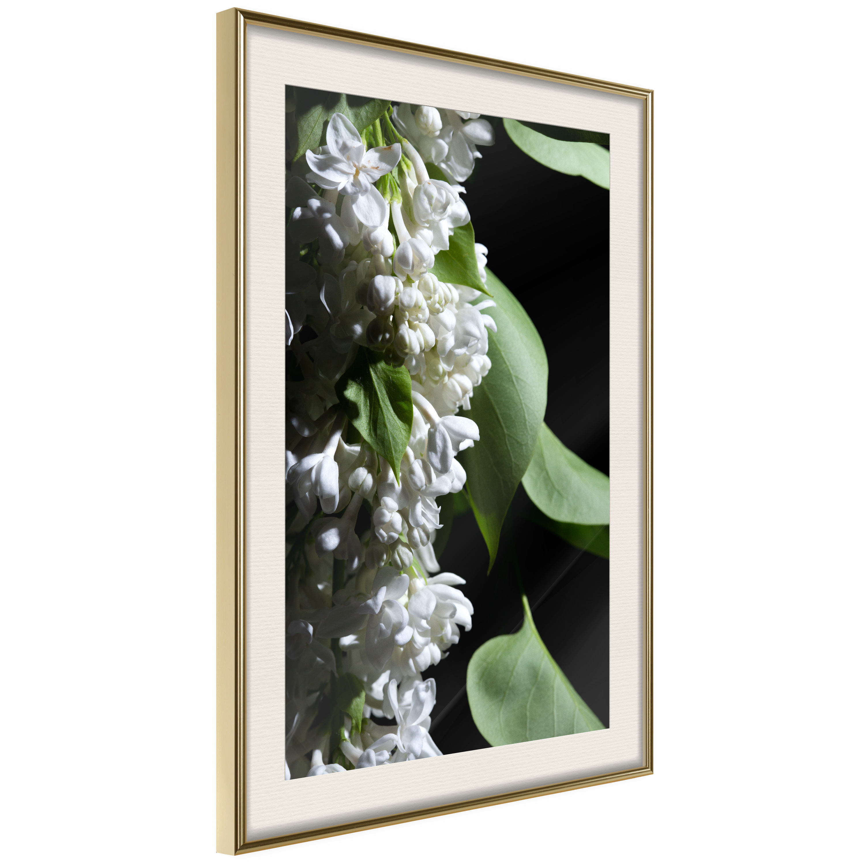 Affisch - Lilacs Detail [Poster] 40x60 Guld ram med passepartout, 40x60 cm