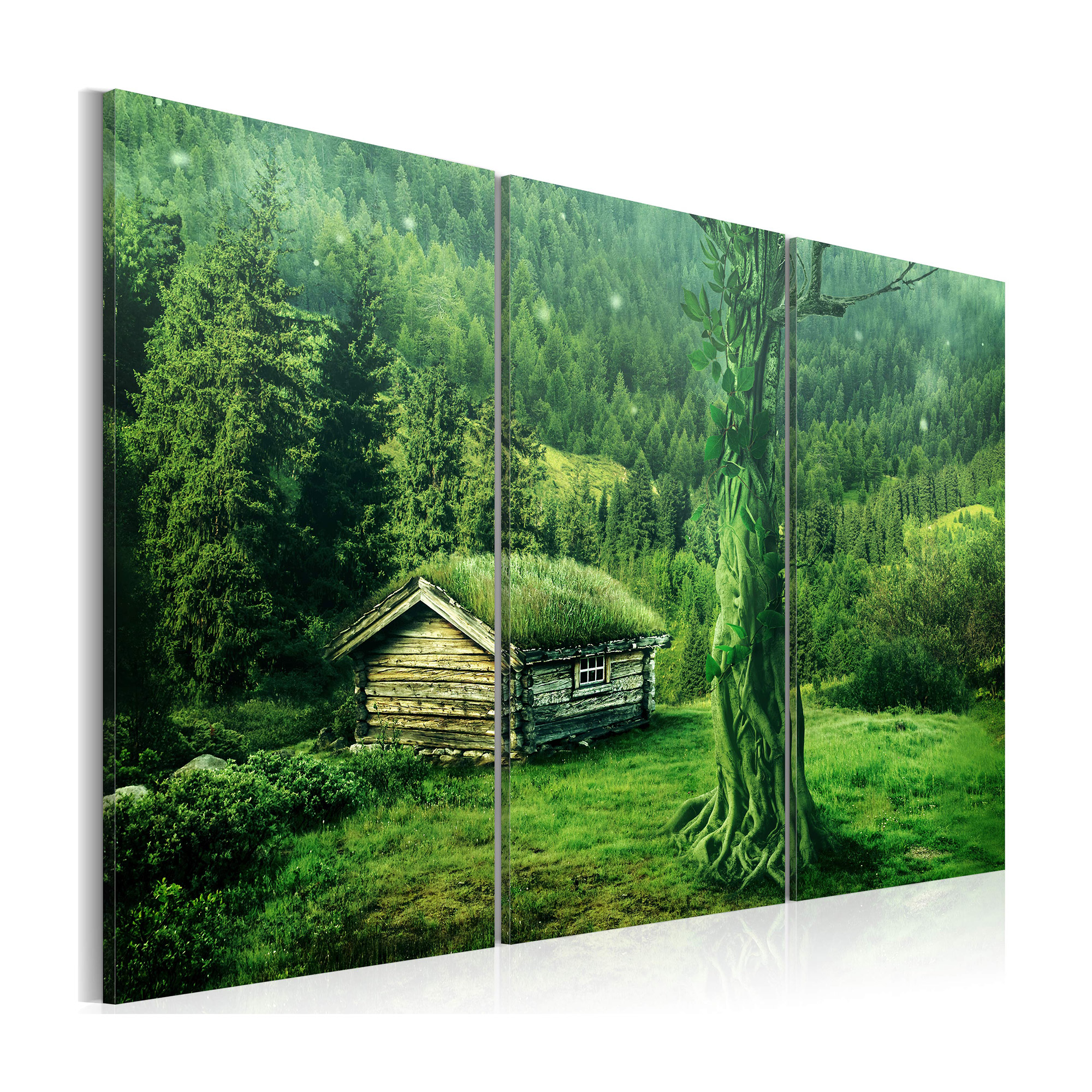 Tavla Arkiio Skogsekosystem