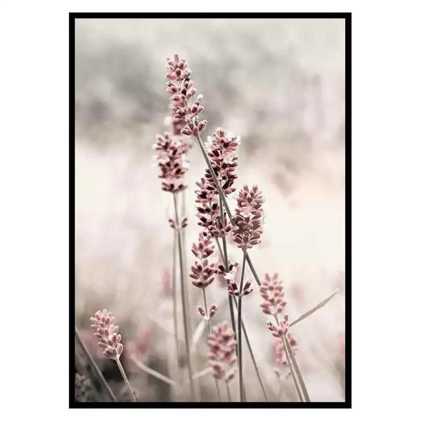 Poster Gallerix Dried Plants No4
