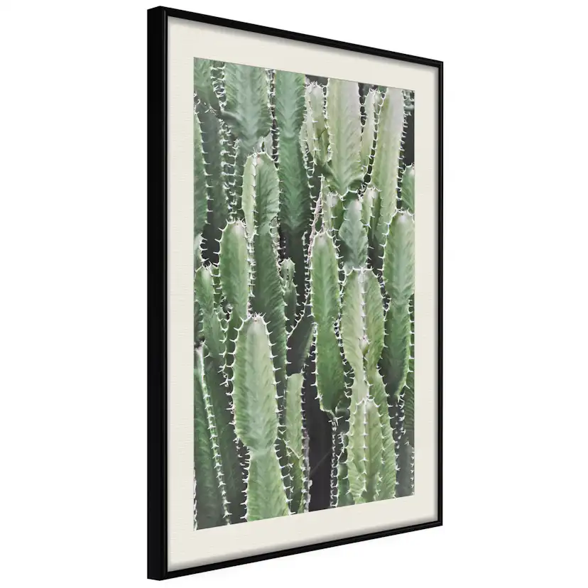 Poster Artgeist Affisch Cactus Garden