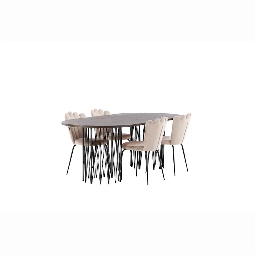 Matgrupp furniture/fashion Stone med 4 Limhamn Light Stolar