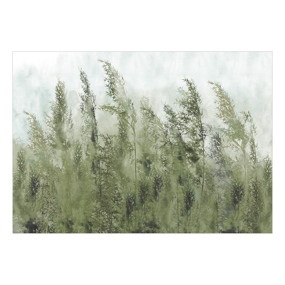 Självhäftande fototapet - Tall Grasses - Green 245x175 Storlek: 245x175 cm