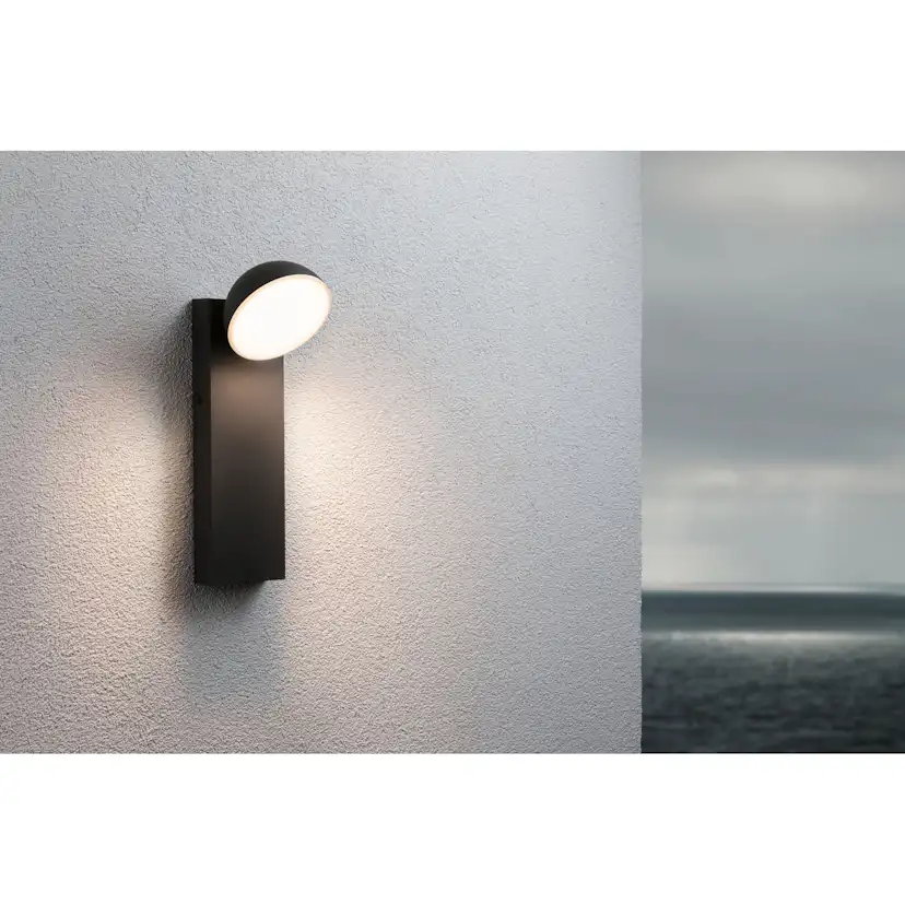 Fasadbelysning LED Paulmann Puka Seawater Resistant IP44 230V Design: utan Skymningsstyrd Rörelsedetektor