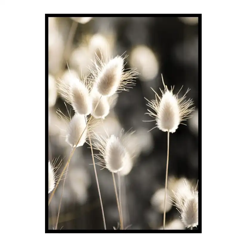 Poster Gallerix Grass In Sunlight