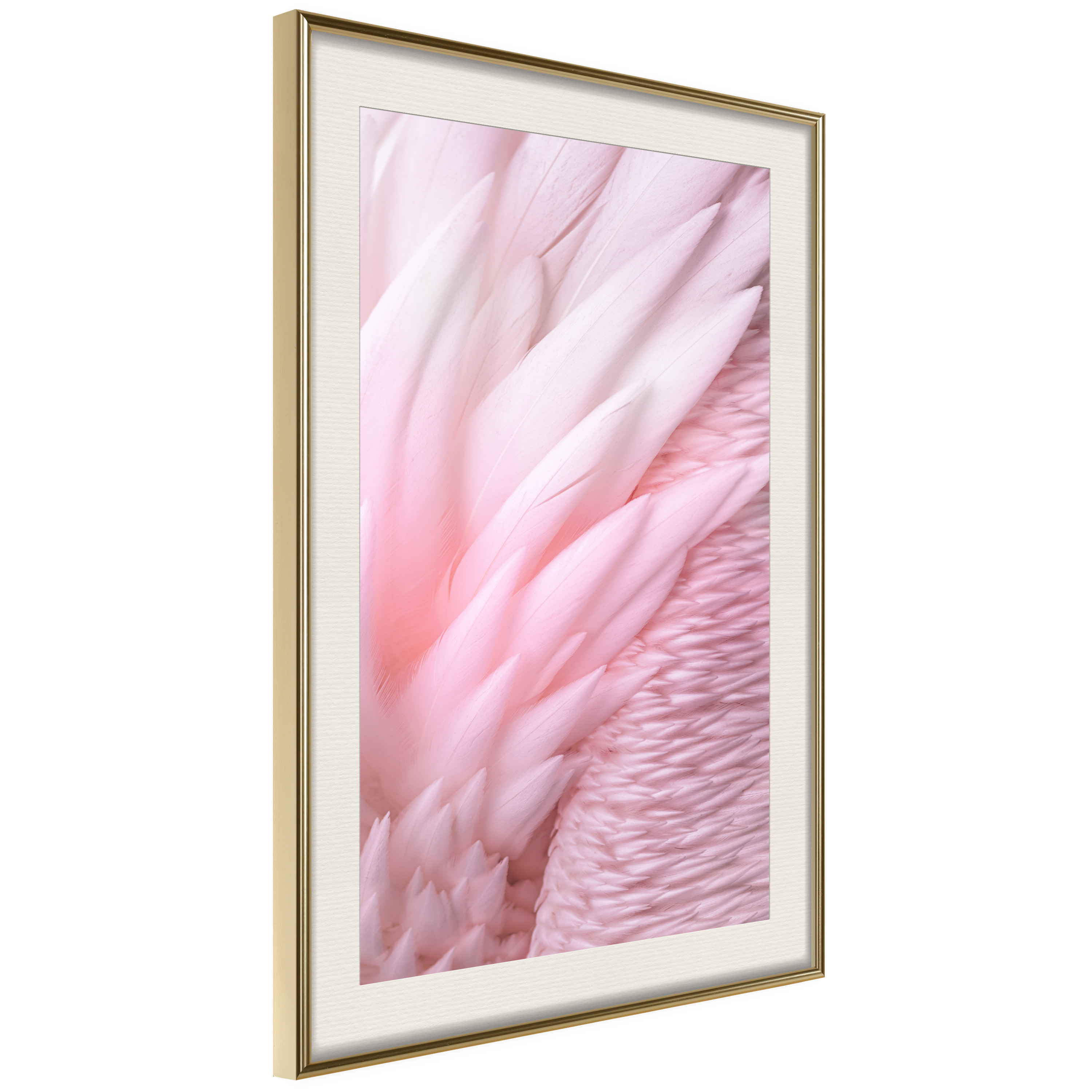Affisch - Feathers [Poster] 20x30 Guld ram med passepartout, 20x30 cm
