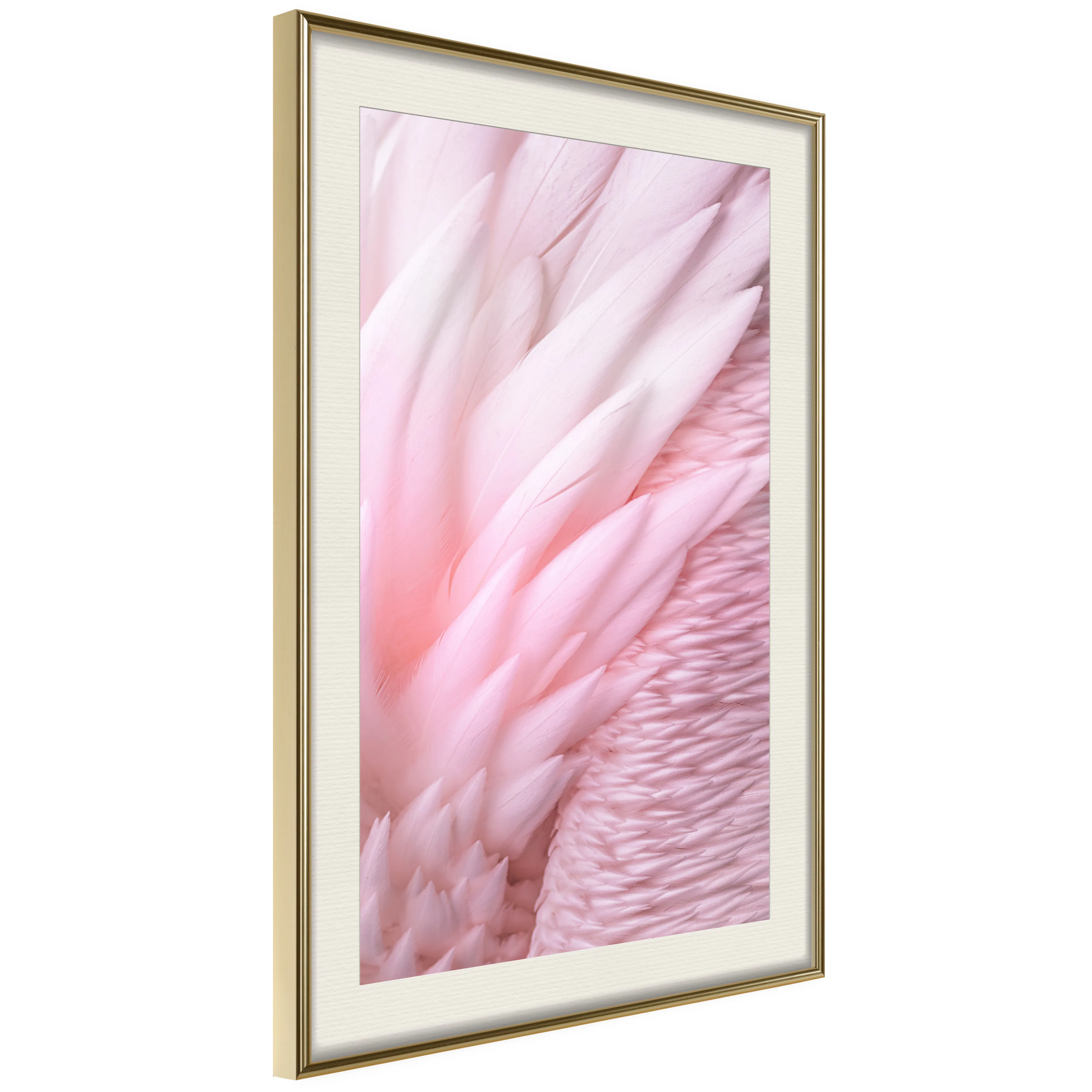 Poster Artgeist Affisch Feathers