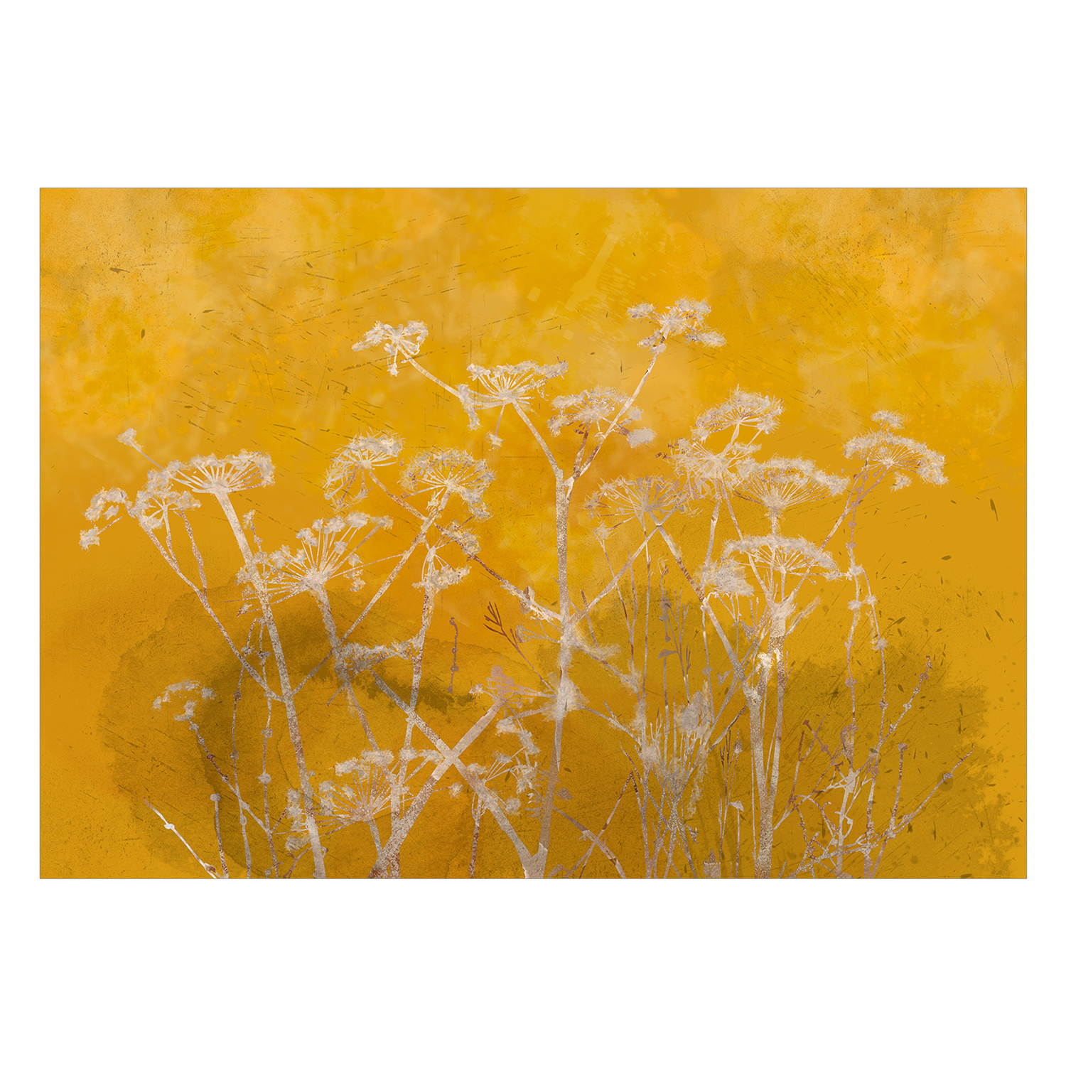Fototapet Arkiio Meadow Bathed in the Sun