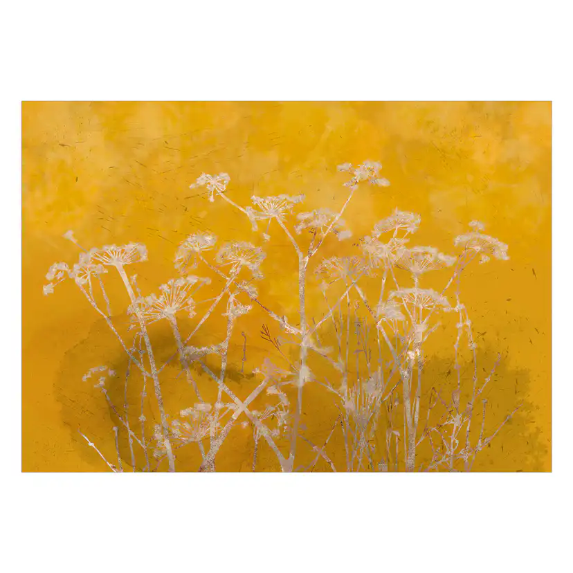 Fototapet Arkiio Meadow Bathed in the Sun