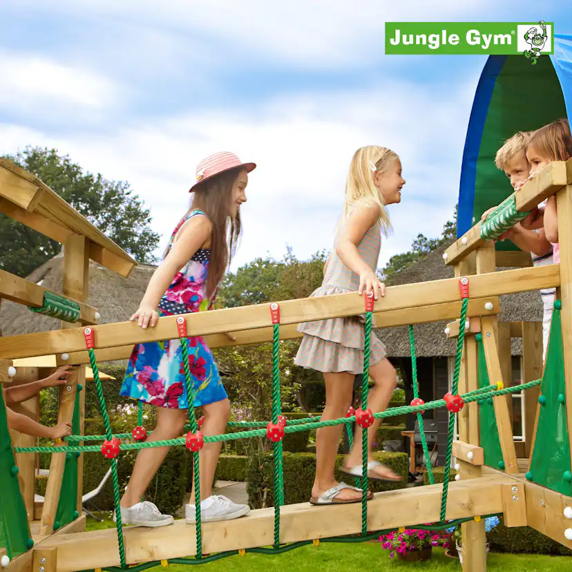 Bro Jungle Gym Net Link
