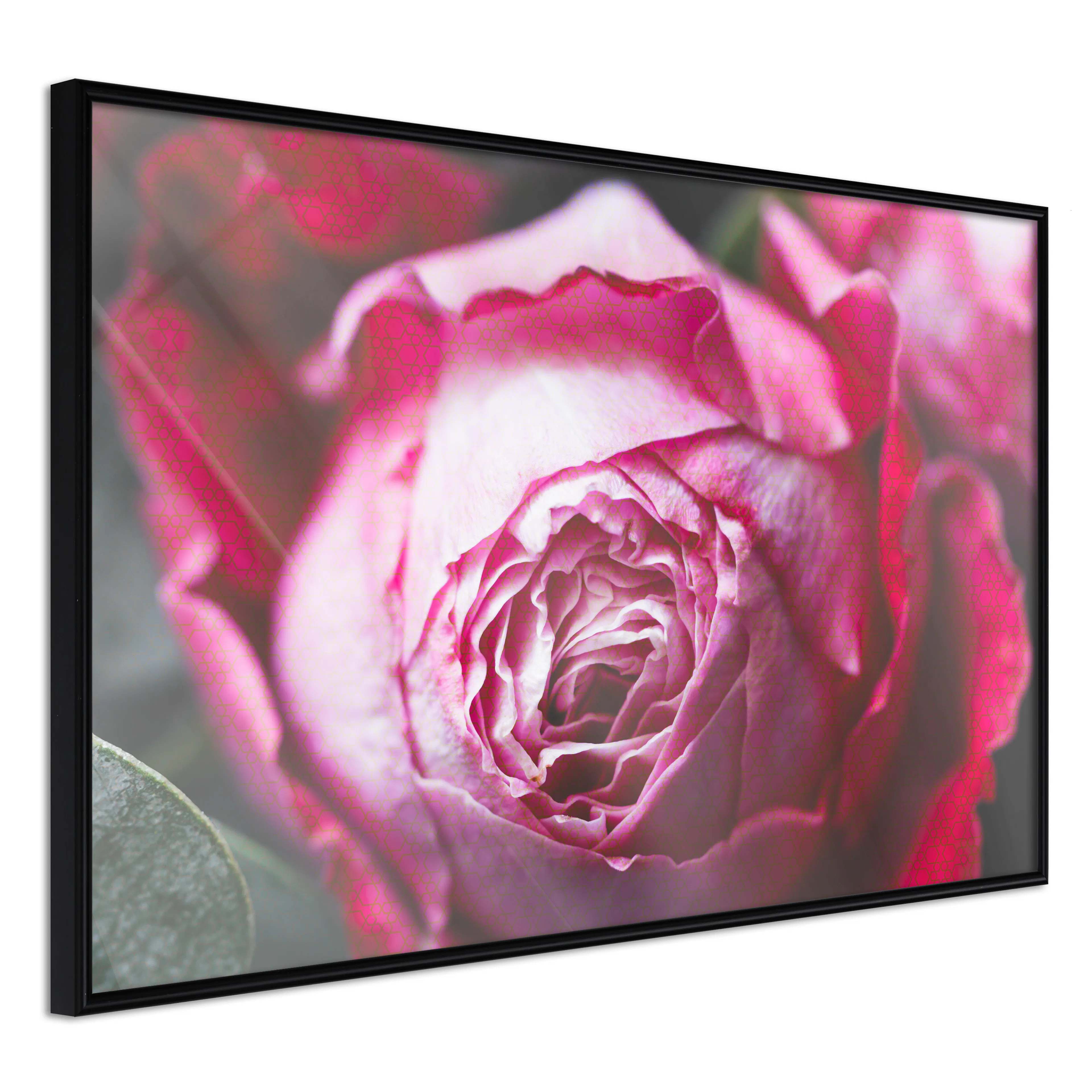 Affisch - Rose Geometry [Poster] 30x20 Svart ram, 30x20 cm