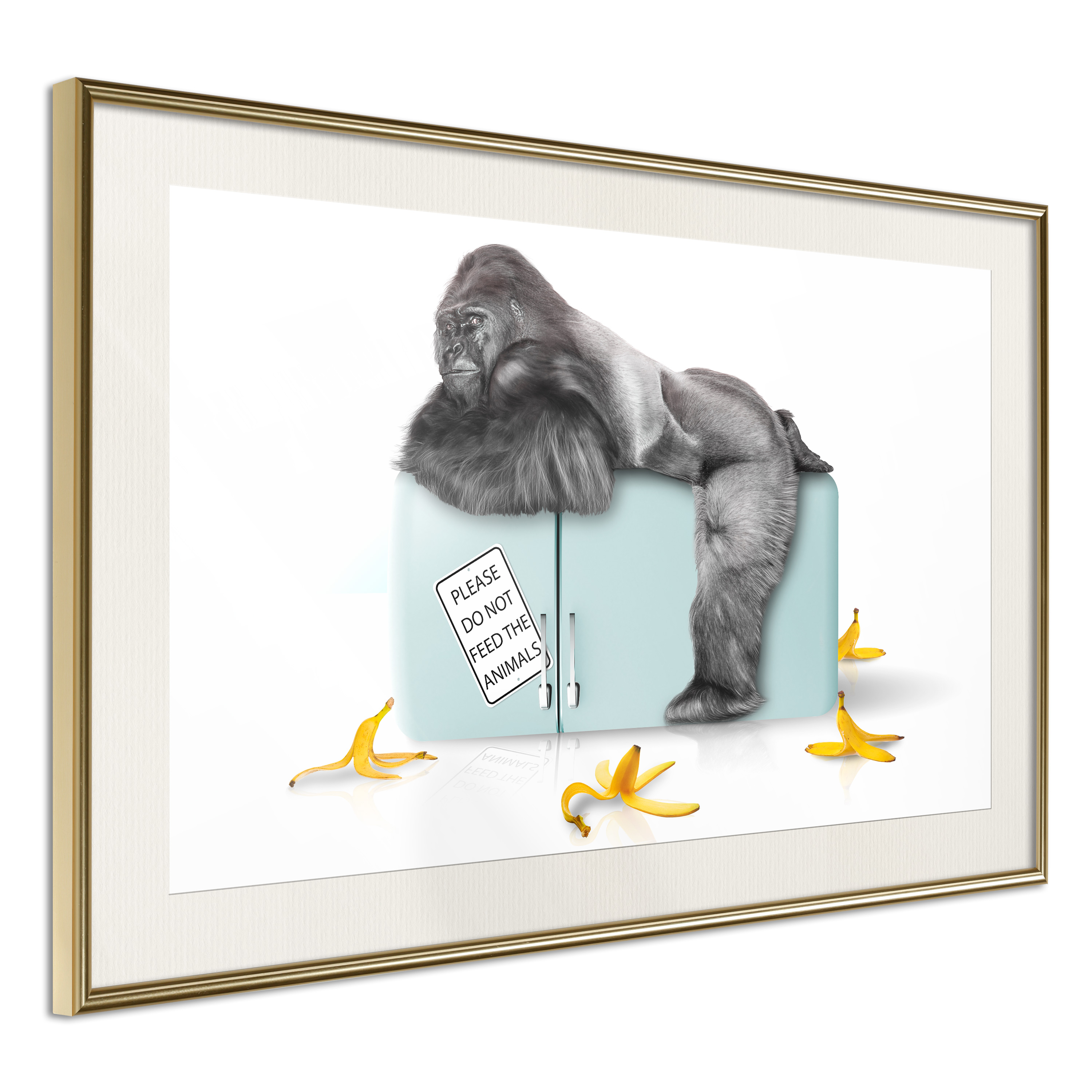 Affisch - Hungry Gorilla [Poster] 60x40 Guld ram med passepartout, 60x40 cm