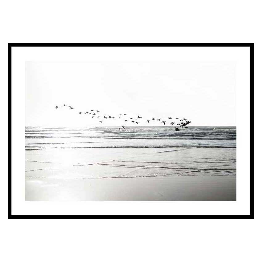 Poster Gallerix Birds Over Beach
