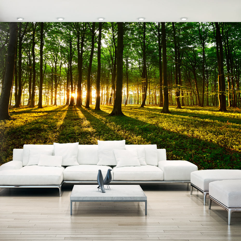 Fototapet Arkiio Självhäftande Mystical Morning II 490x280
