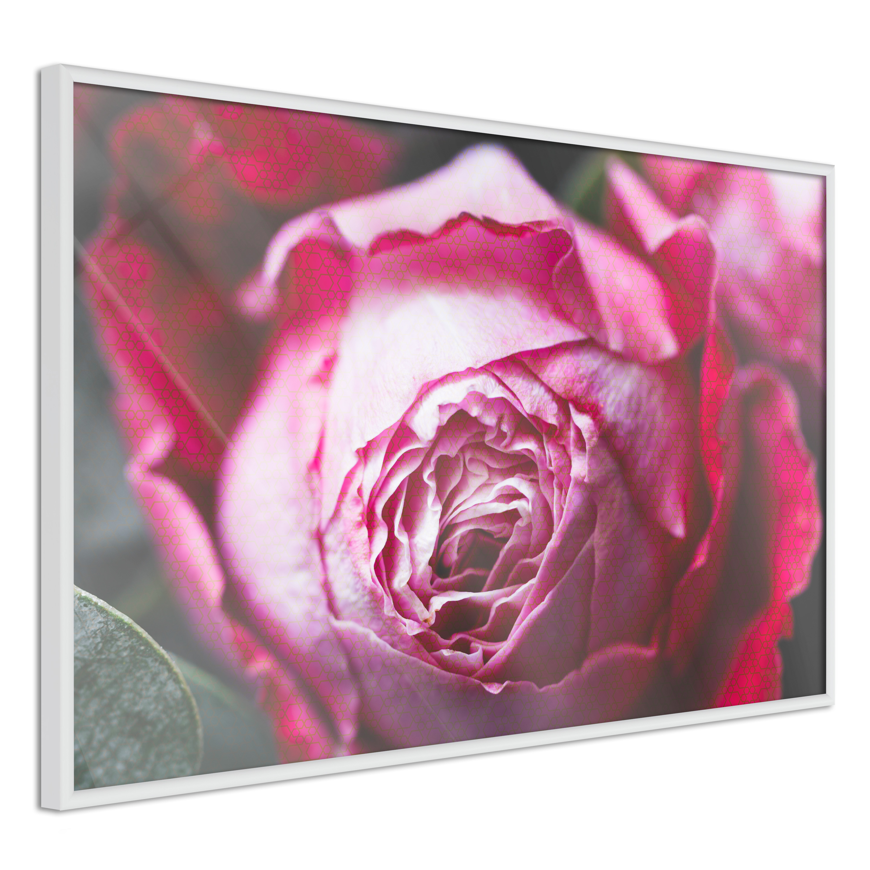 Poster Artgeist Affisch Rose Geometry