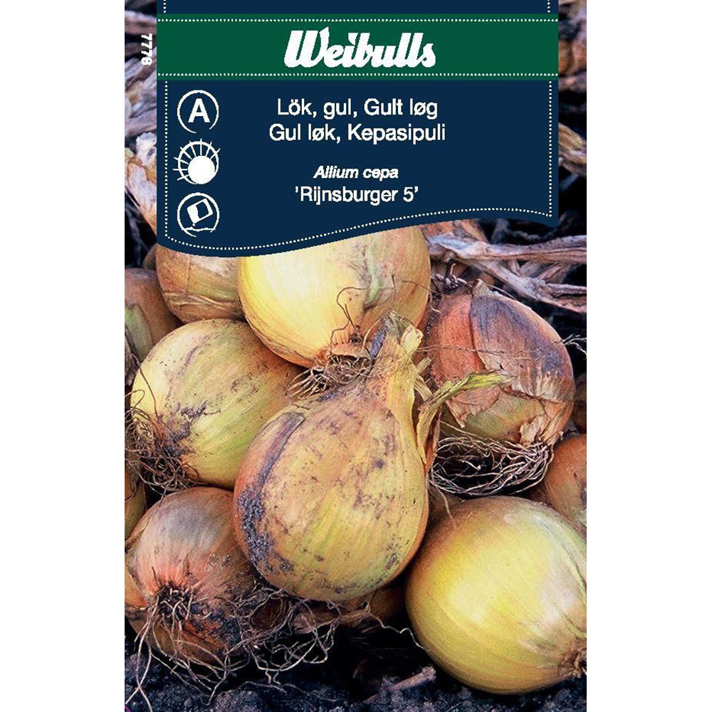 Frö Lök Weibulls Gul Rijnsburger