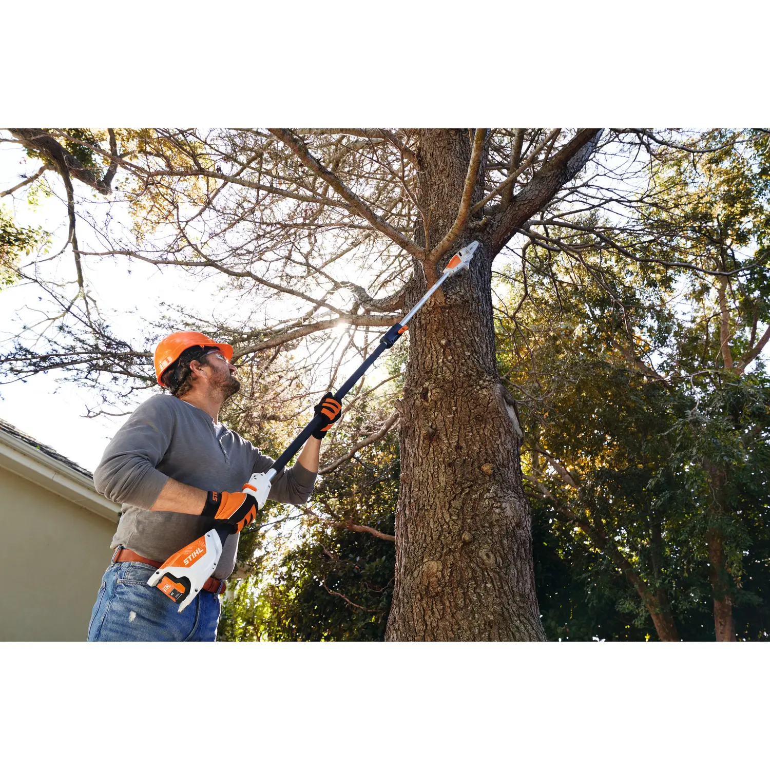 Stånghäcksax STIHL HTA 50.0 Batteridriven Kvistsåg