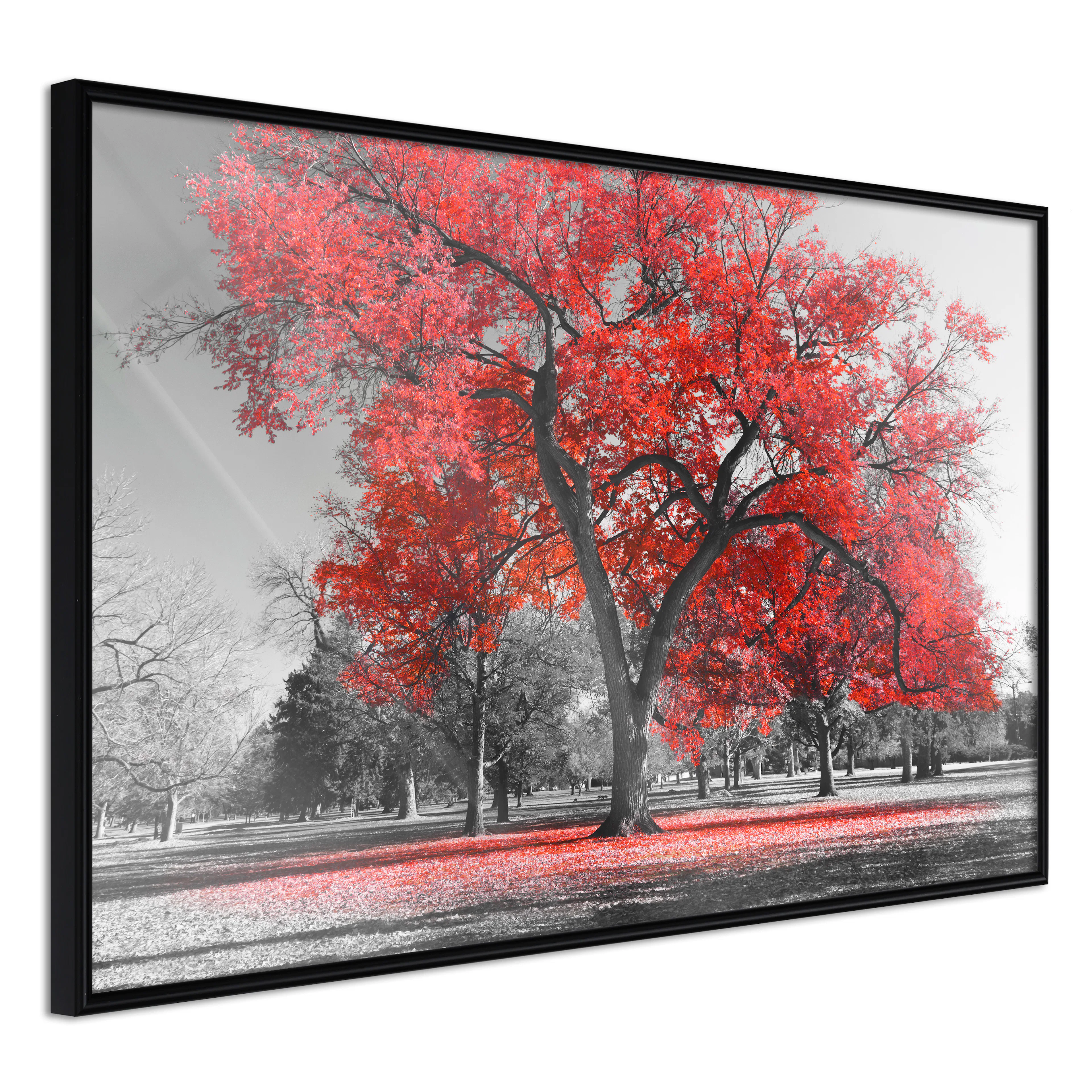 Affisch - Autumn in the Park (Red) [Poster] 60x40 Svart ram, 60x40 cm
