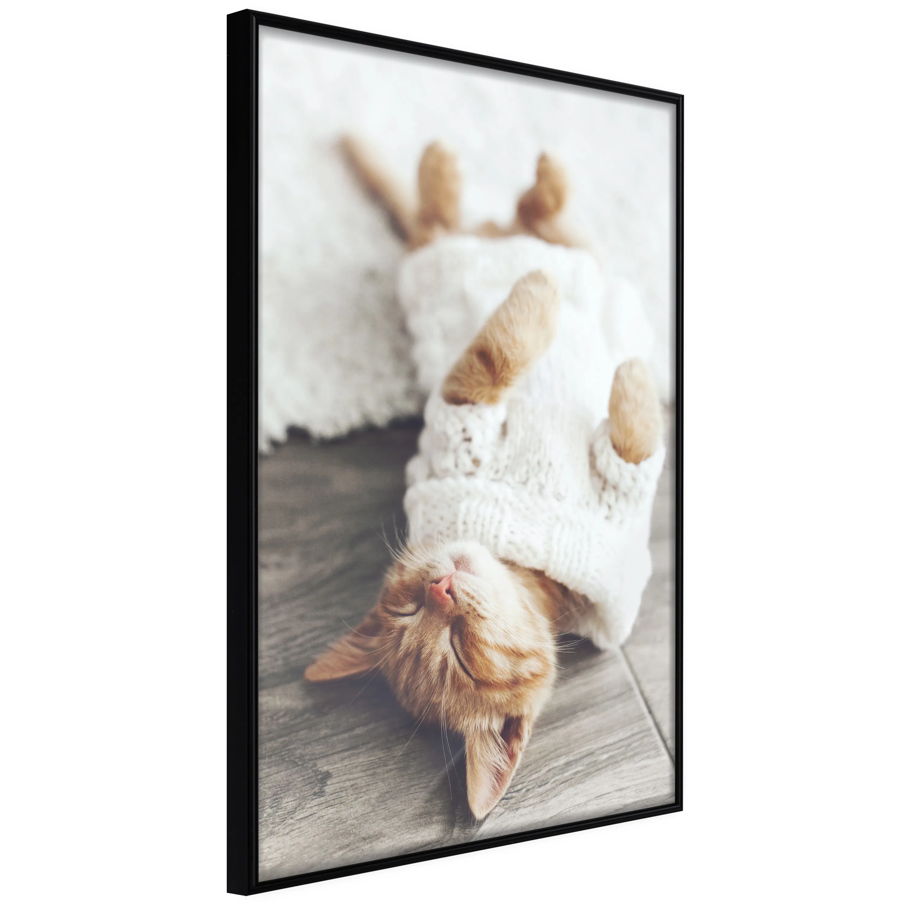 Poster Artgeist Affisch Lazy Cat
