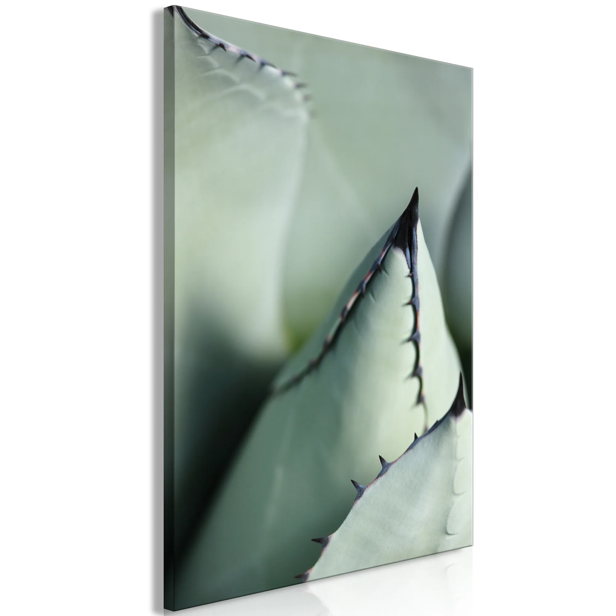 Tavla Arkiio Green Spikes
