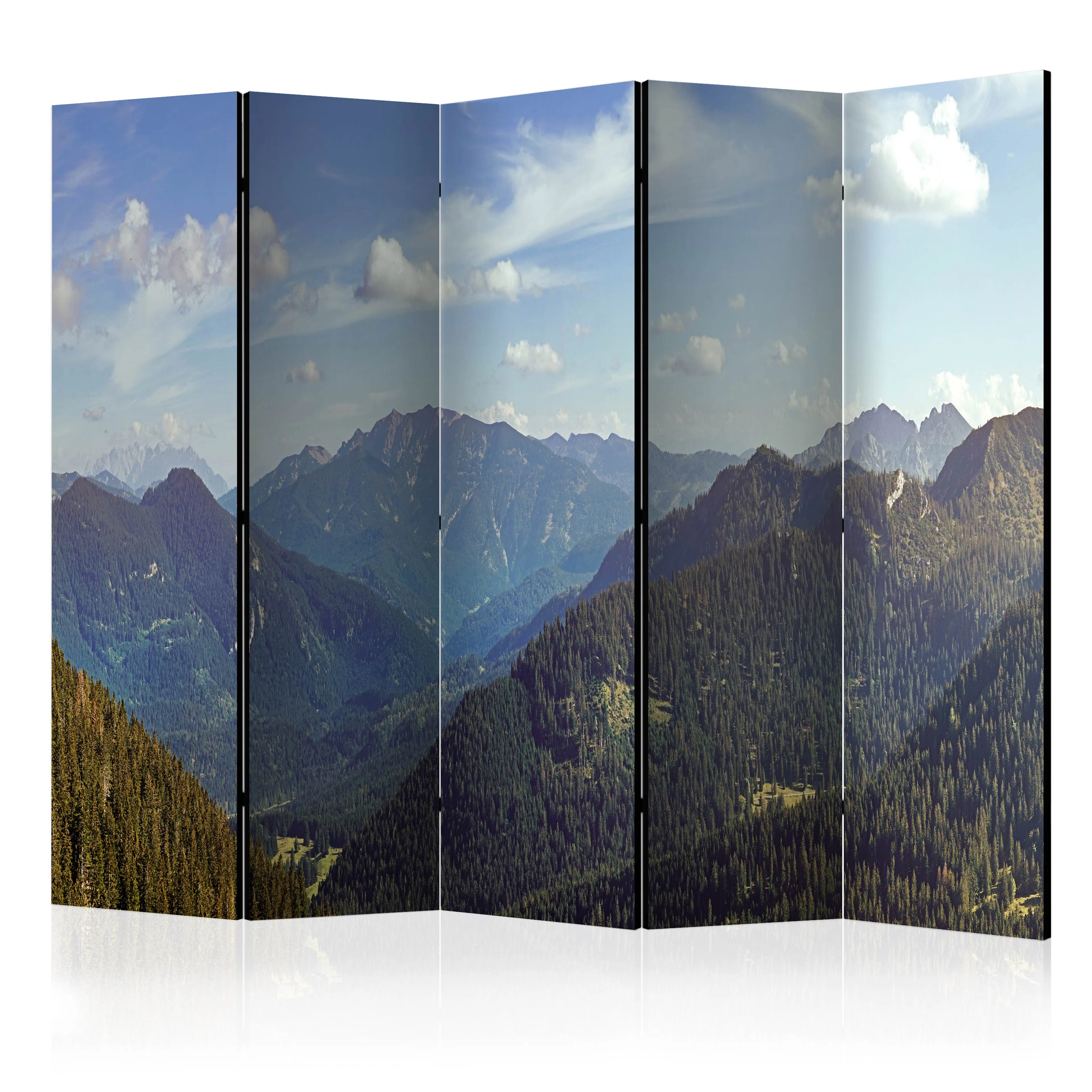 Rumsavdelare Skärmvägg Arkiio Mountains’ Magic II 225x172 cm
