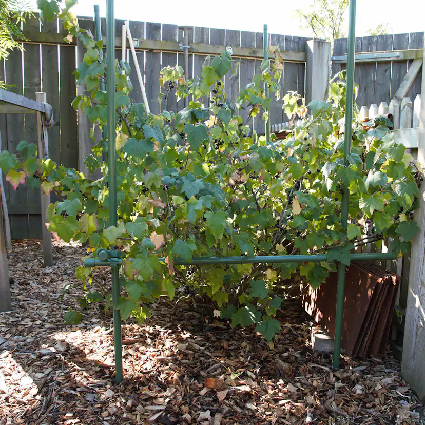 Buskstöd Flexigarden