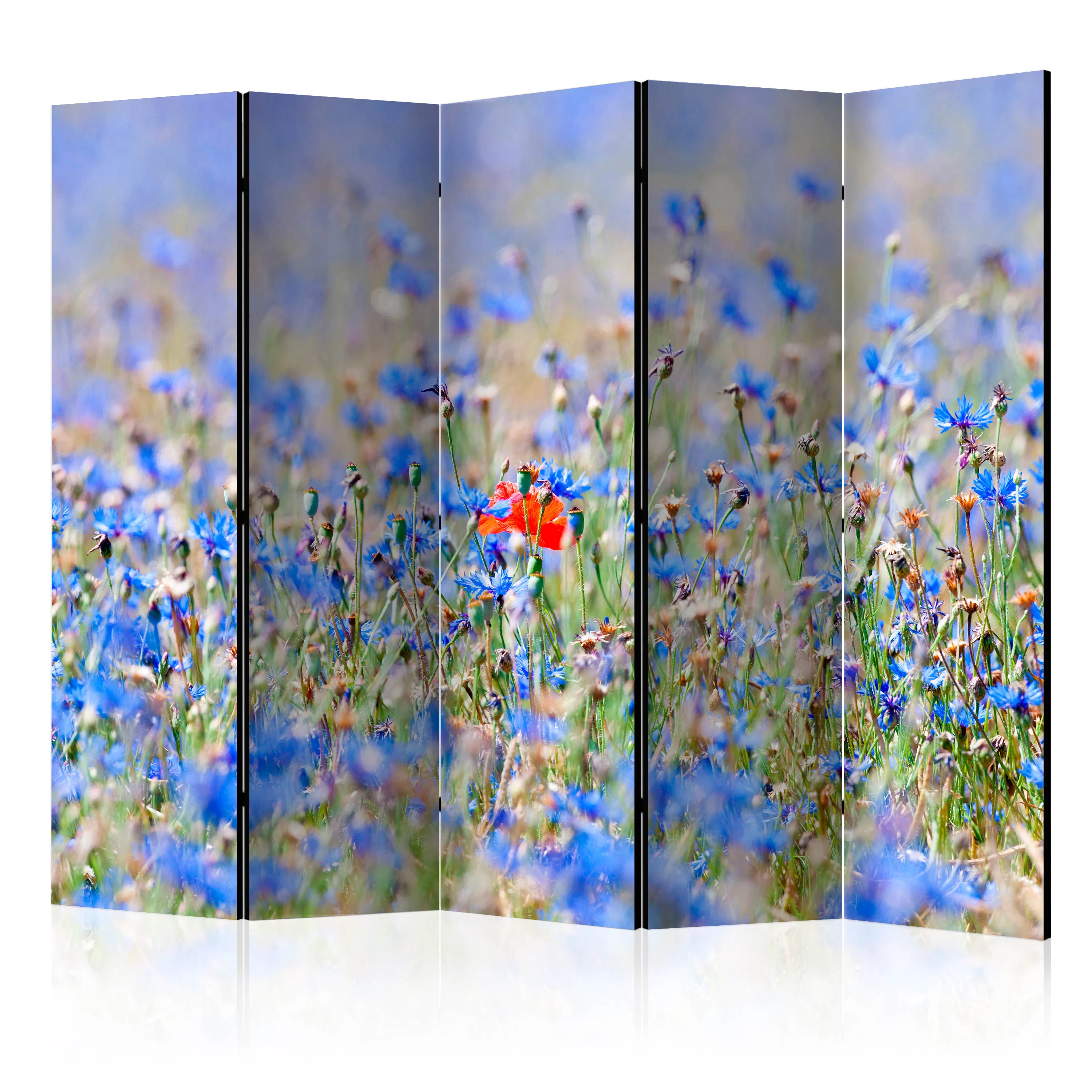 Rumsavdelare Skärmvägg Arkiio A Sky-colored Meadow Cornflowers II 225x172 cm