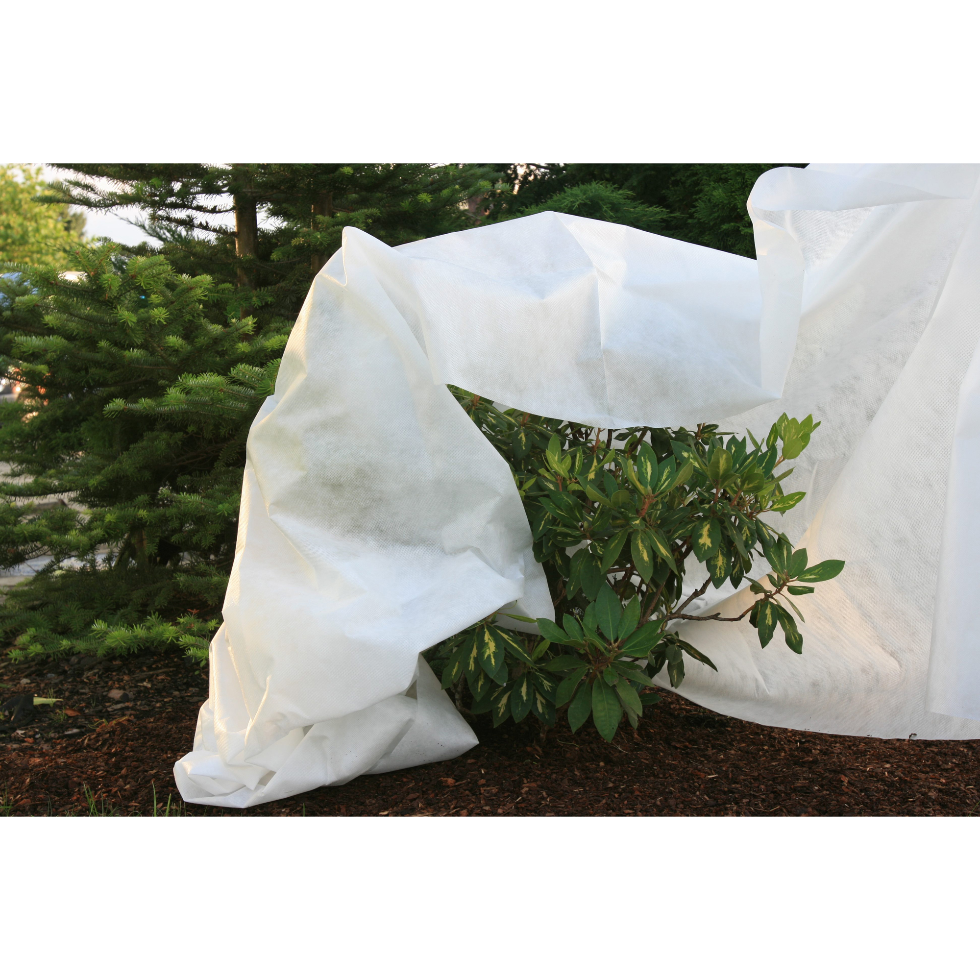 Agrimpex Frostskyddsväv Storlek: 1,6x20  m