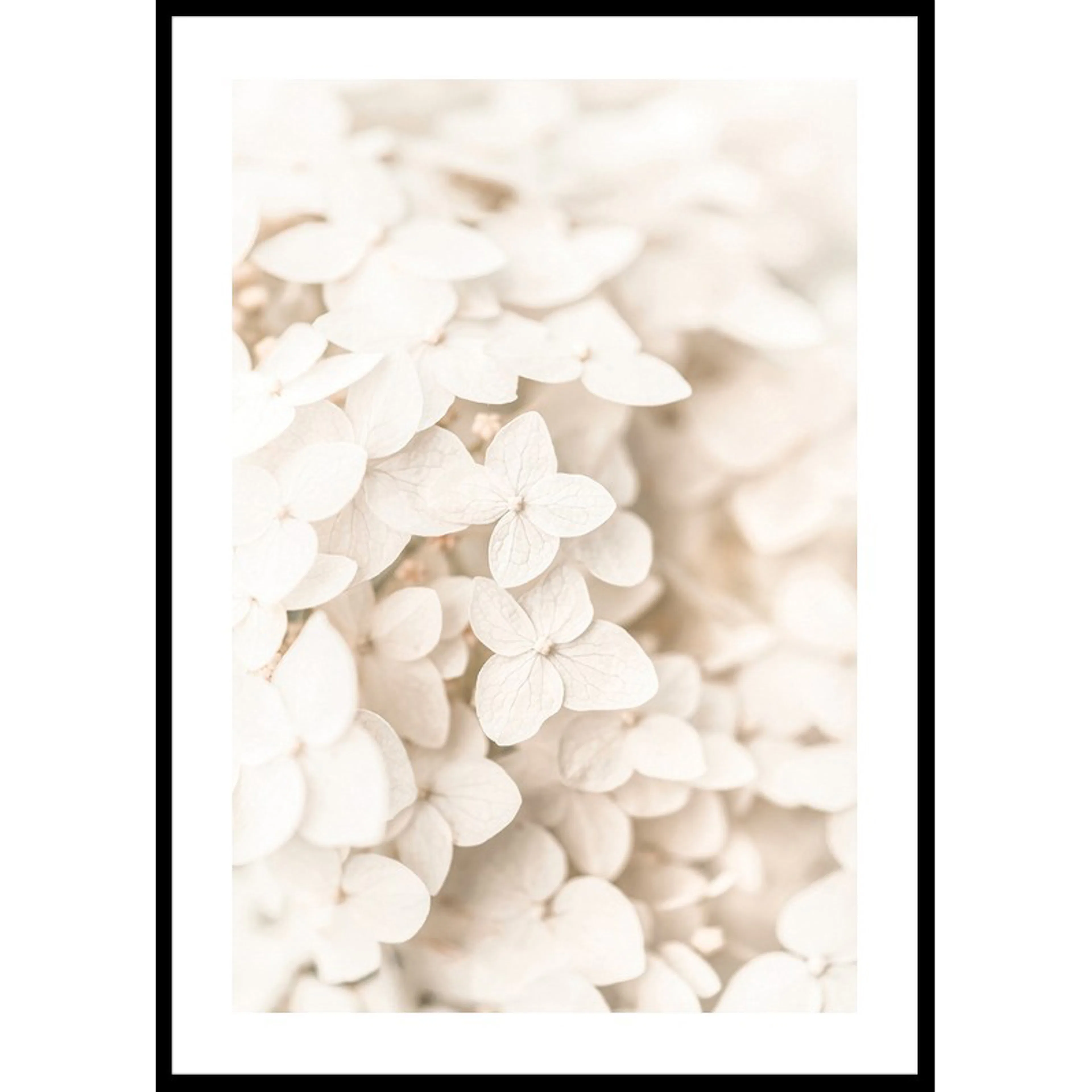 Boho Flowers No3 70x100 70x100 cm