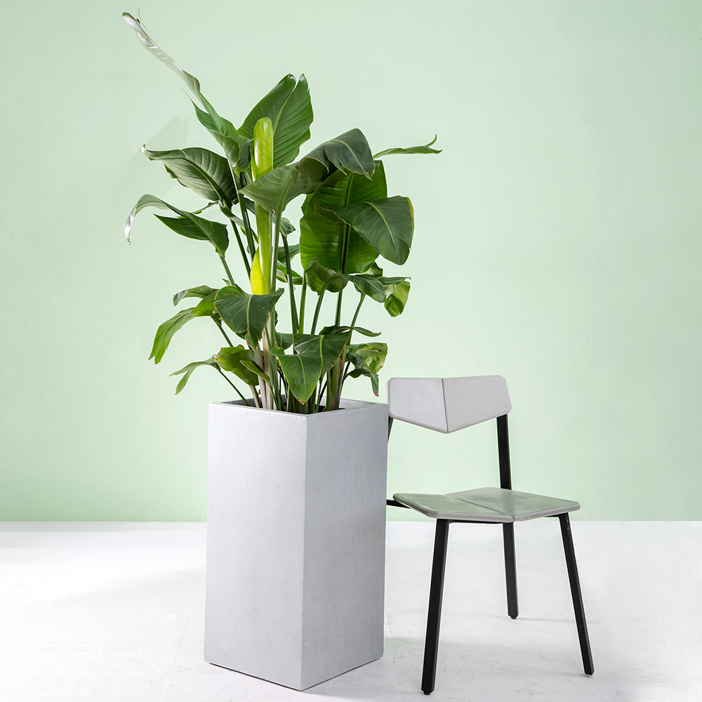 Kruka Lyfco Fyrkantig Hög Ljusgrå