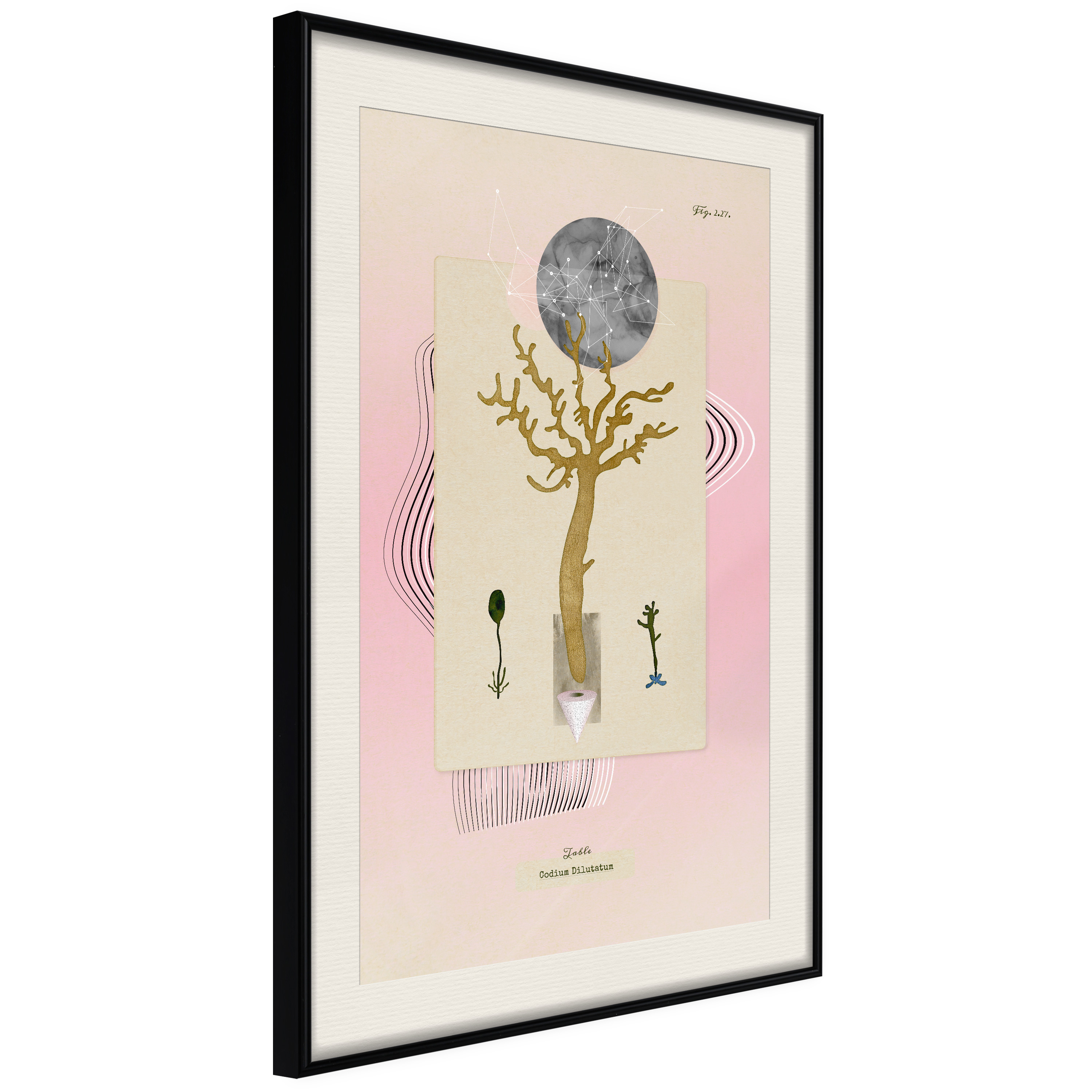 Poster Artgeist Affisch Unusual Plant
