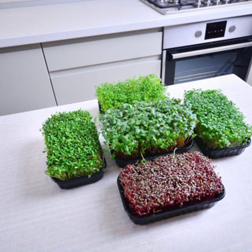 Odlingsmatta Turfquick Krasse