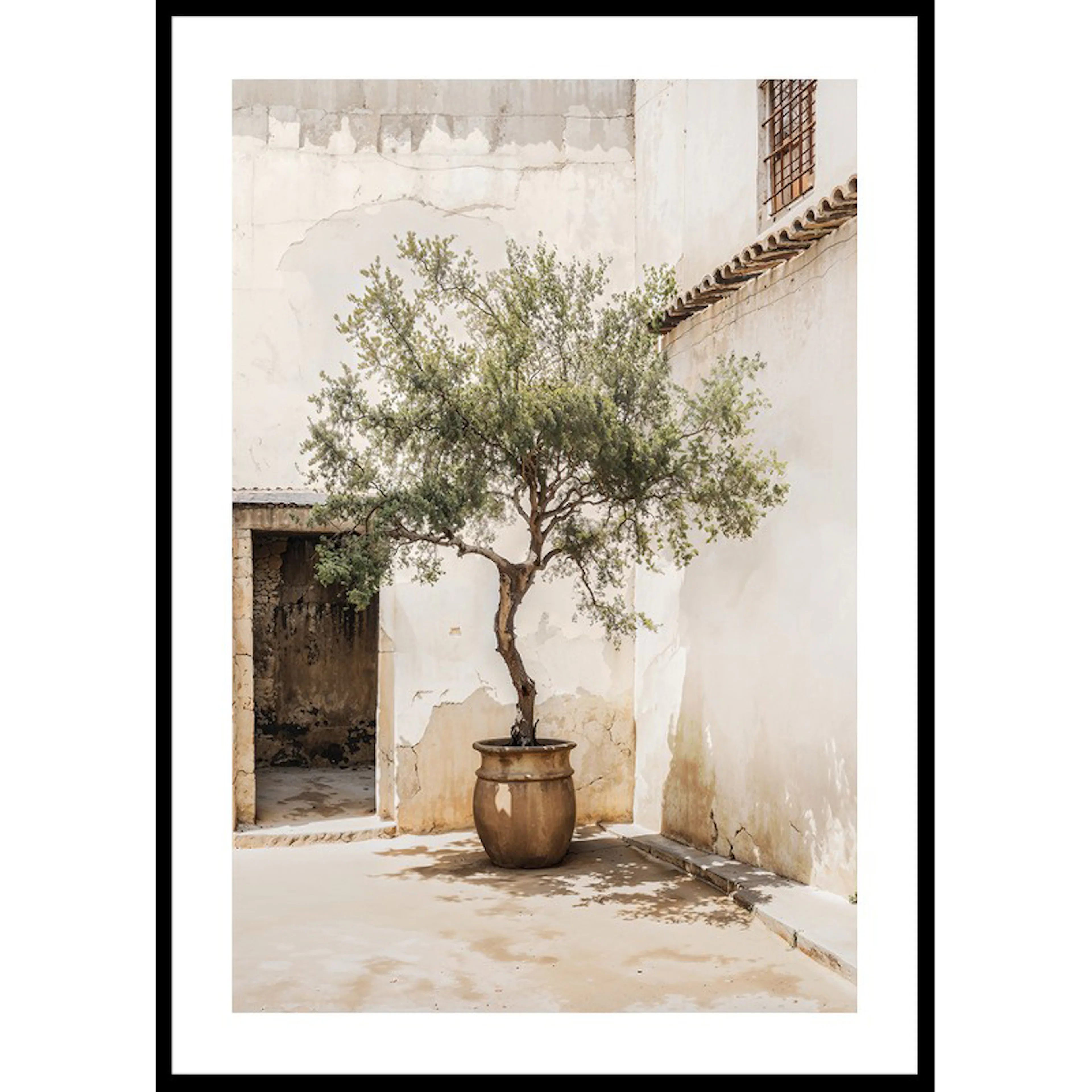 Olive Tree Mediterranean Setting No2 70x100 70x100 cm