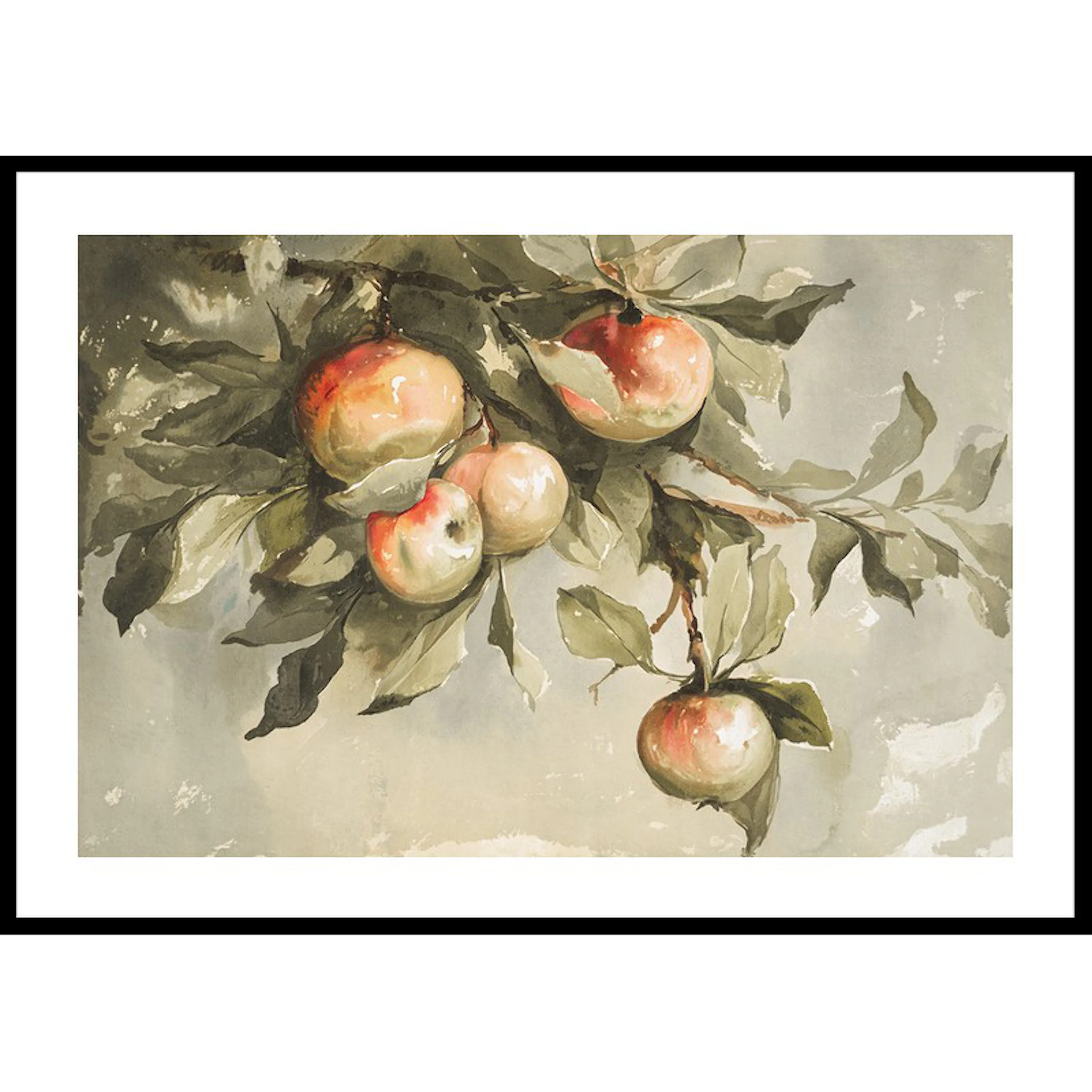Study Of Apples 70x100 70x100 cm