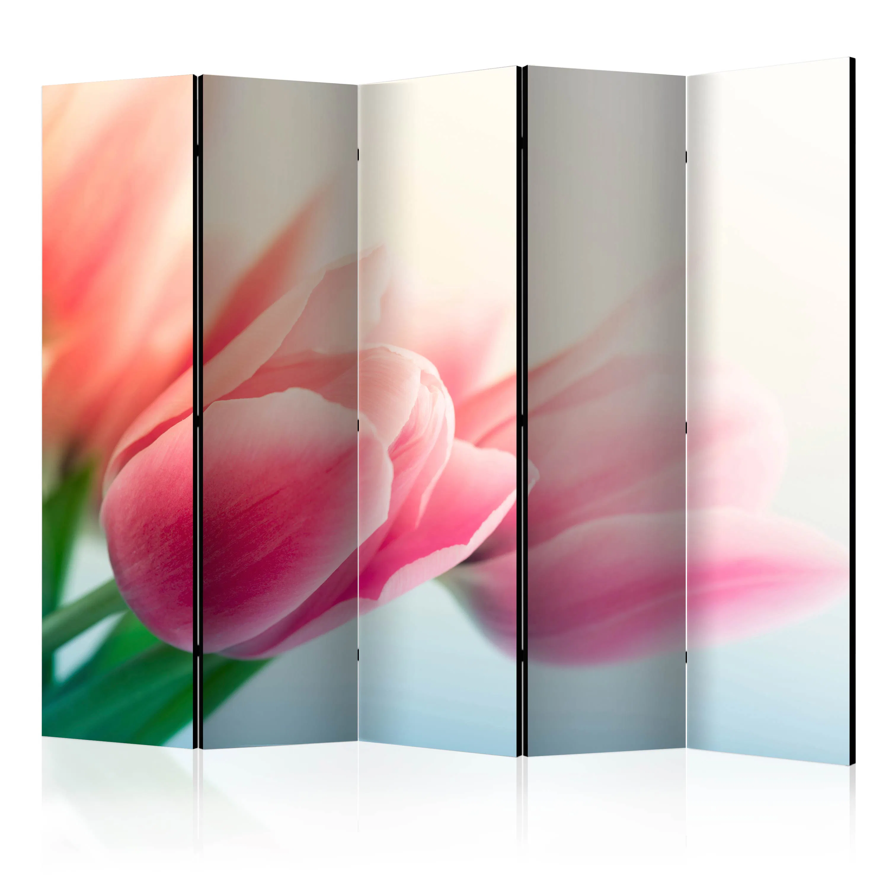 Rumsavdelare Skärmvägg Arkiio Spring And Tulips II 225x172 cm