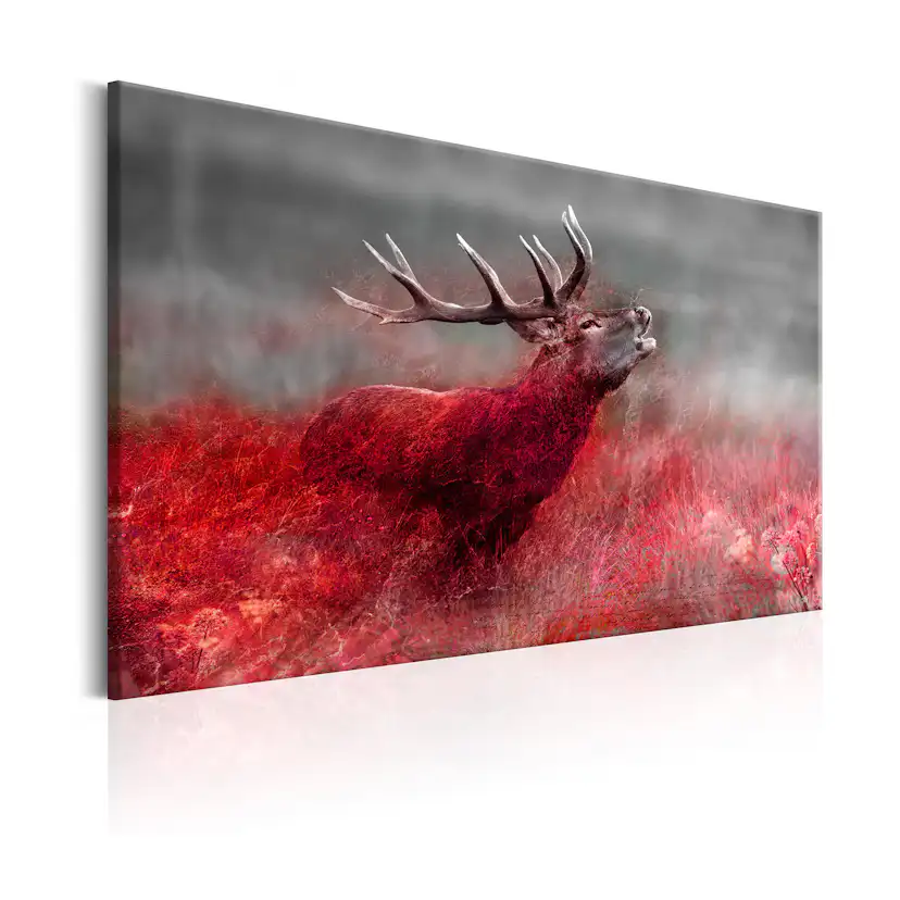 Tavla Arkiio Bloody Field