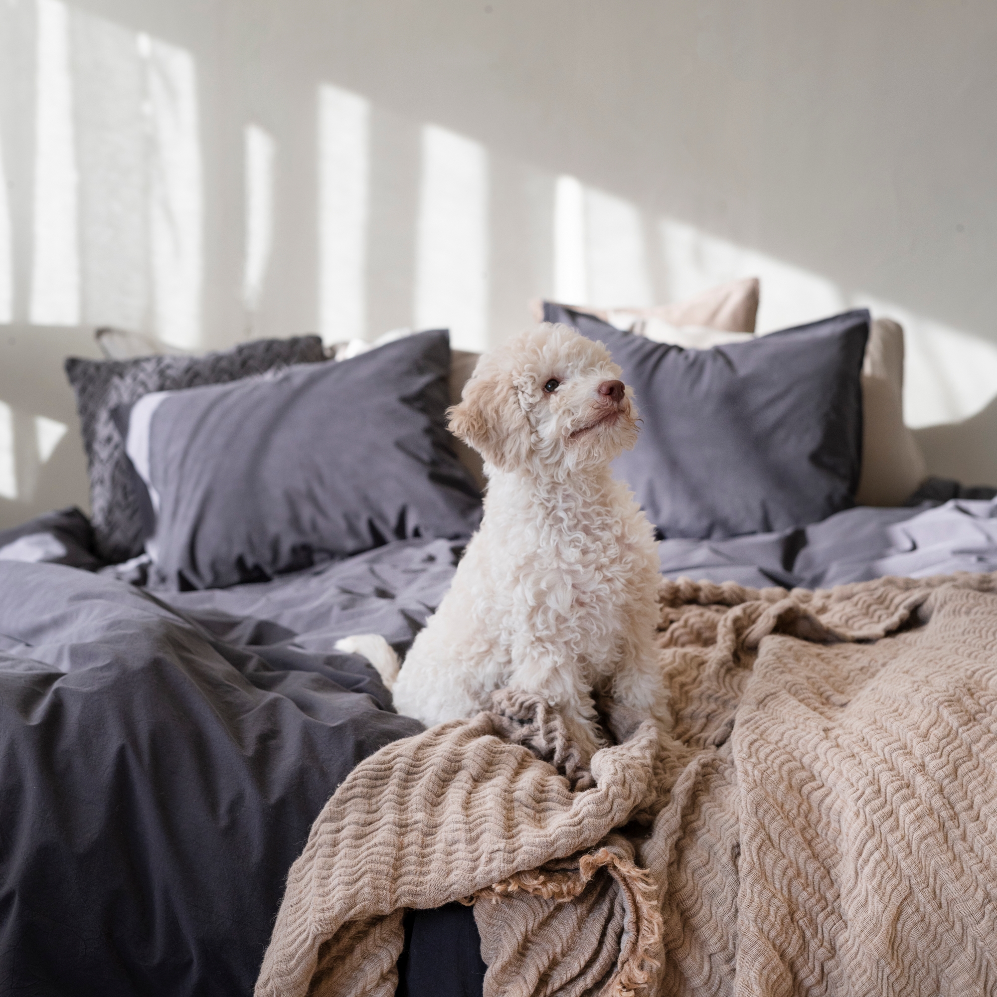 Påslakanset Borganäs of Sweden Percale Dubbelsäng