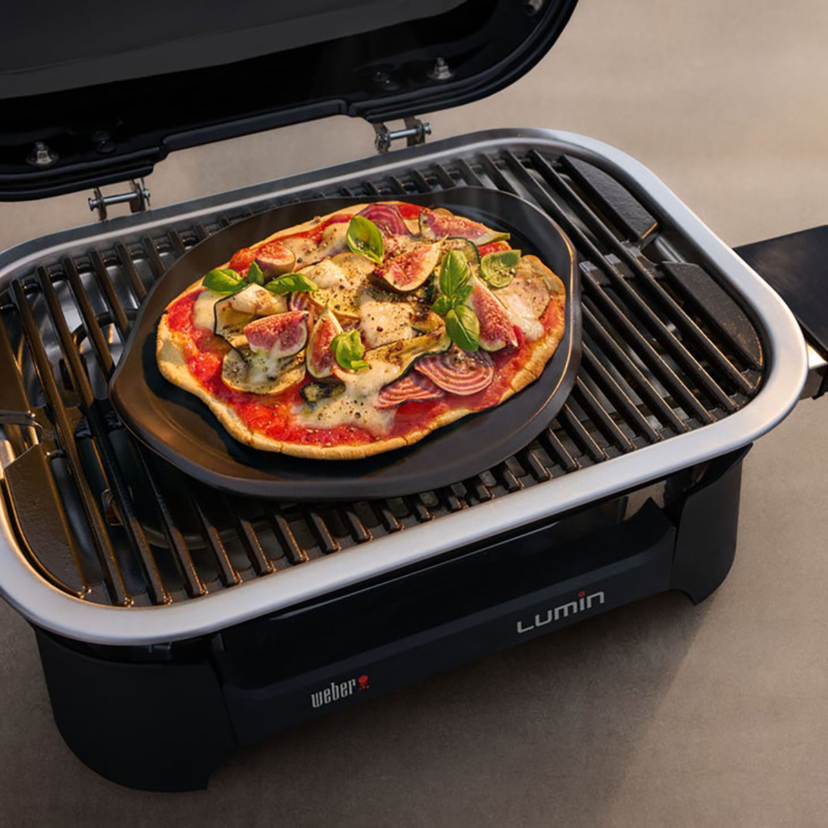 Elgrill Weber Lumin Compact