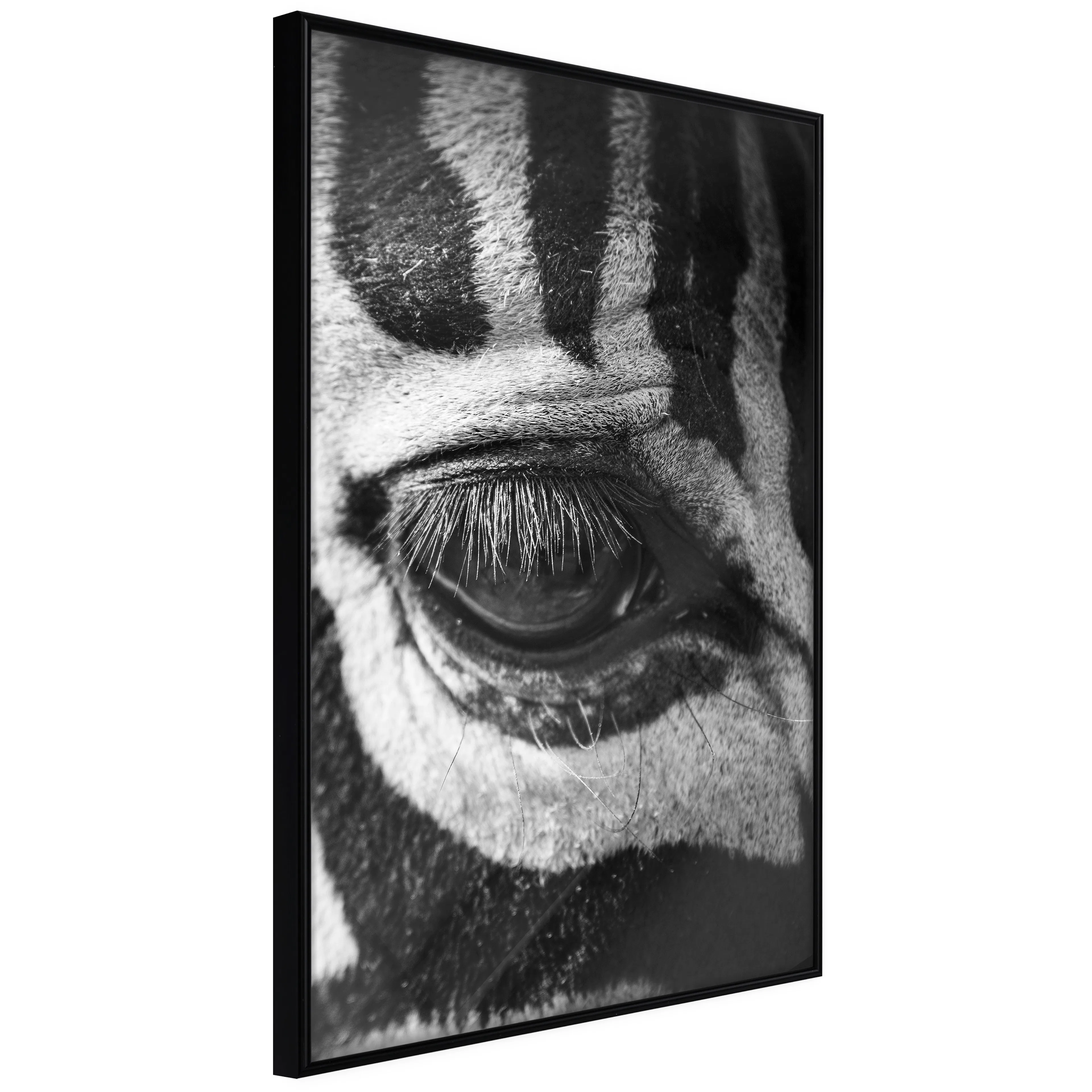 Affisch - Zebra Eye [Poster] 20x30 Svart ram, 20x30 cm