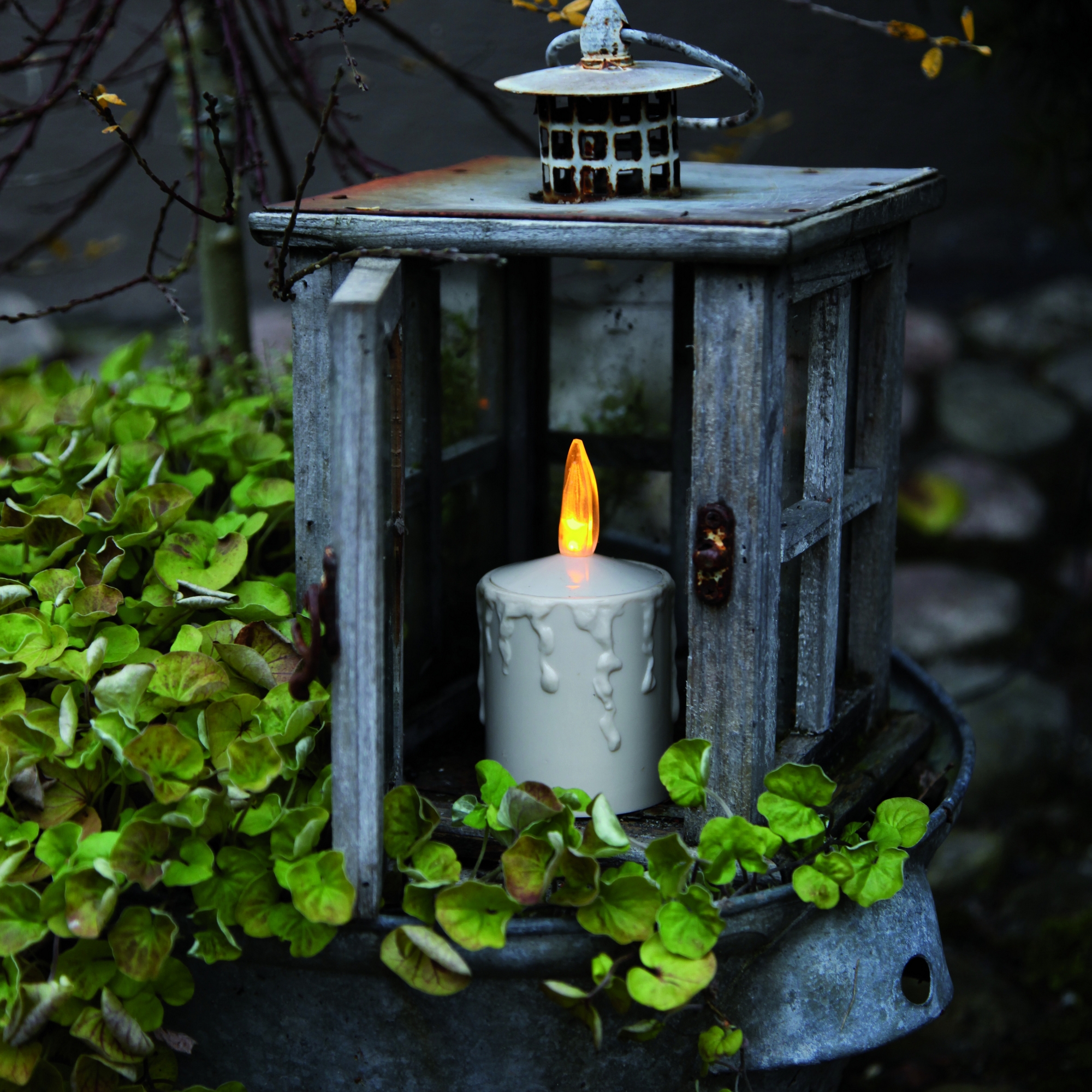 Gravljus Star Trading Paula LED