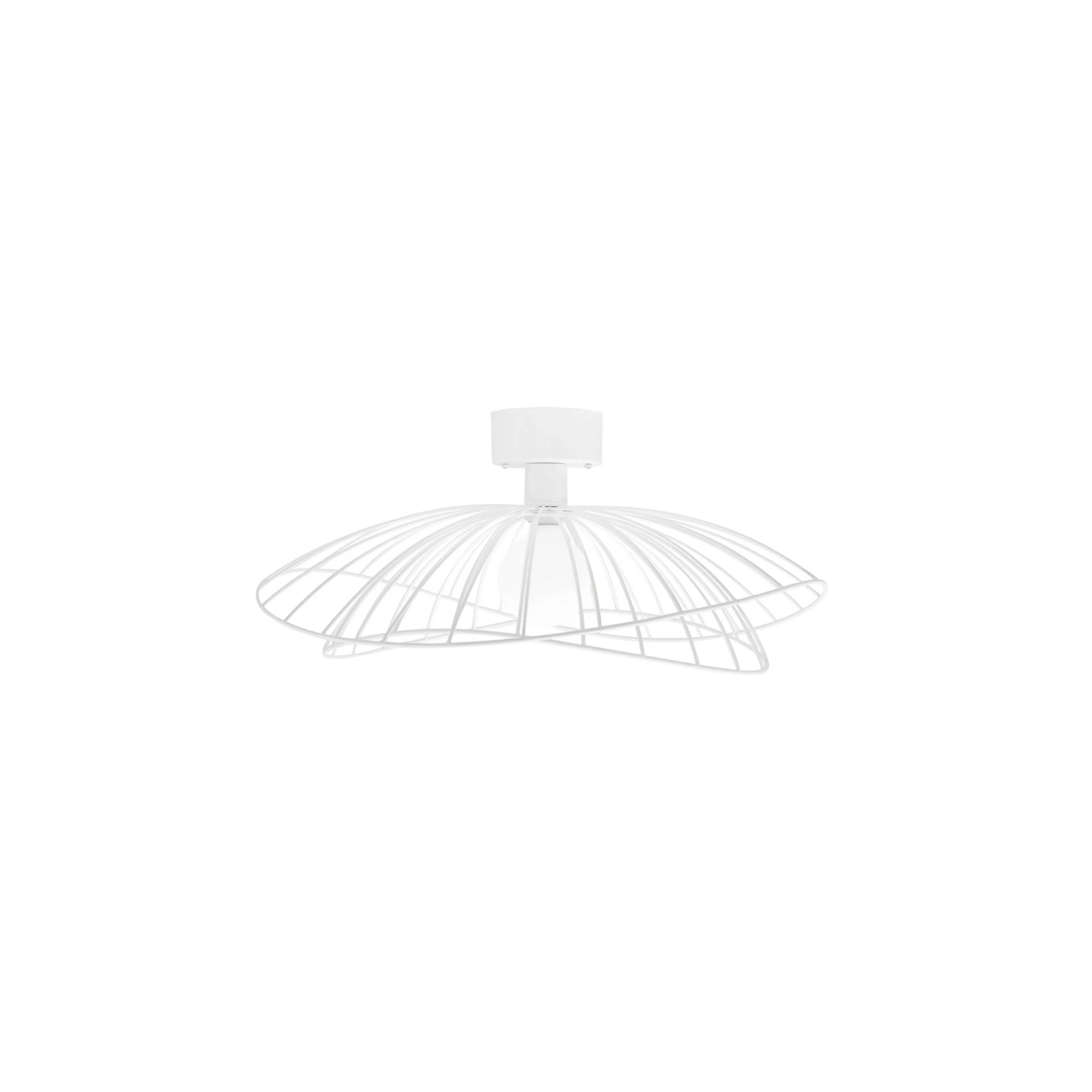 Tak/Vägglampa Globen Lighting Ray Vit