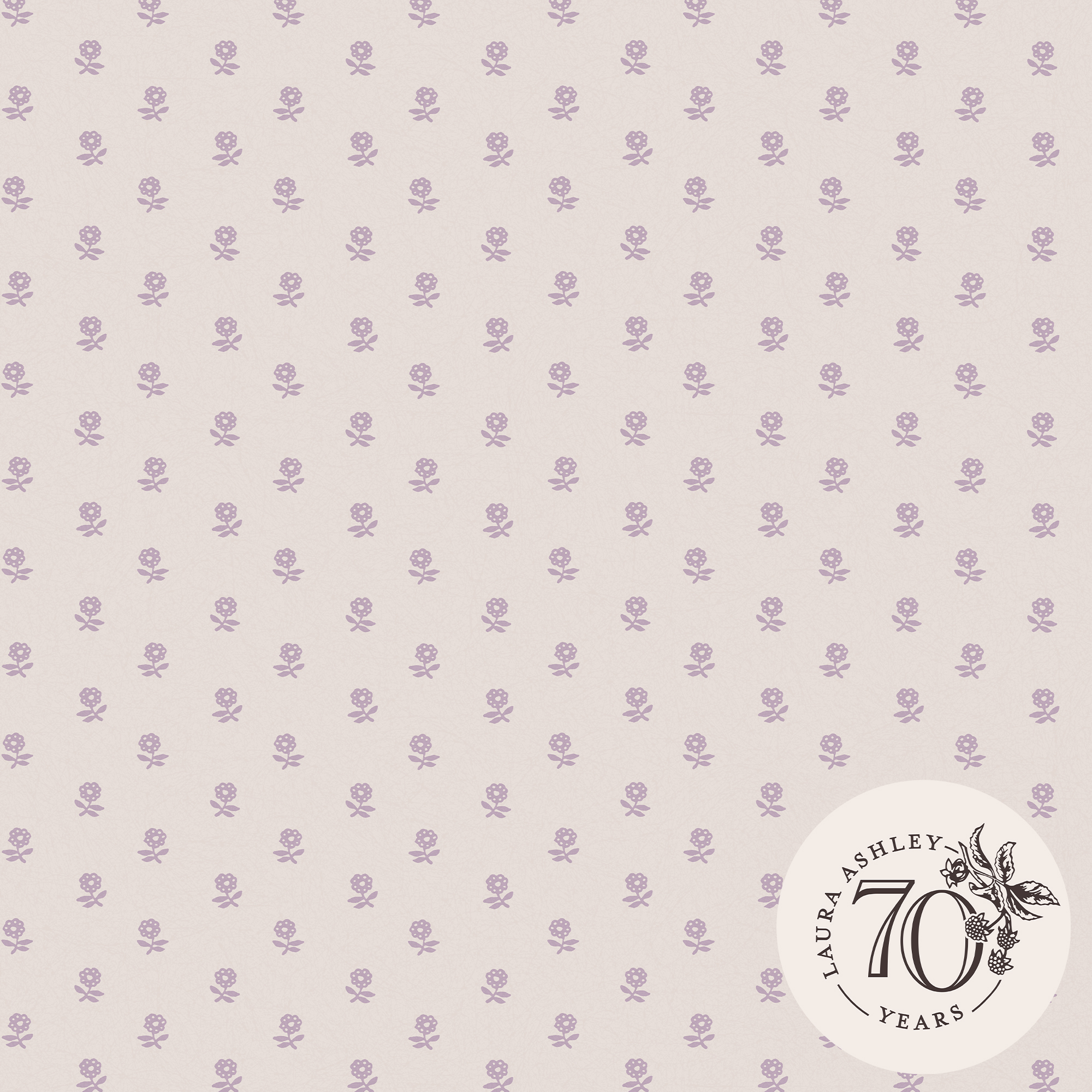 Tapet Laura Ashley Daisy Lavender Purple 119864
