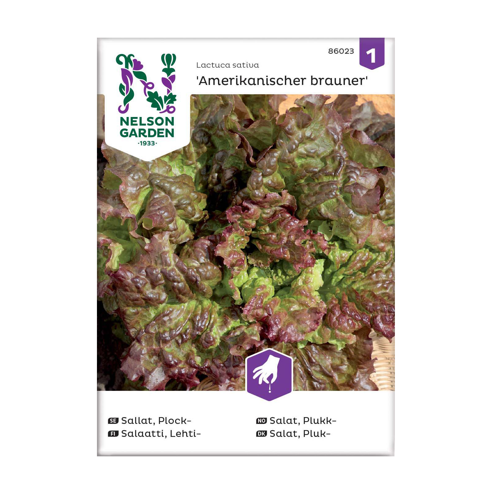 Frö Plocksallat Nelson Garden Amerikanischer brauner
