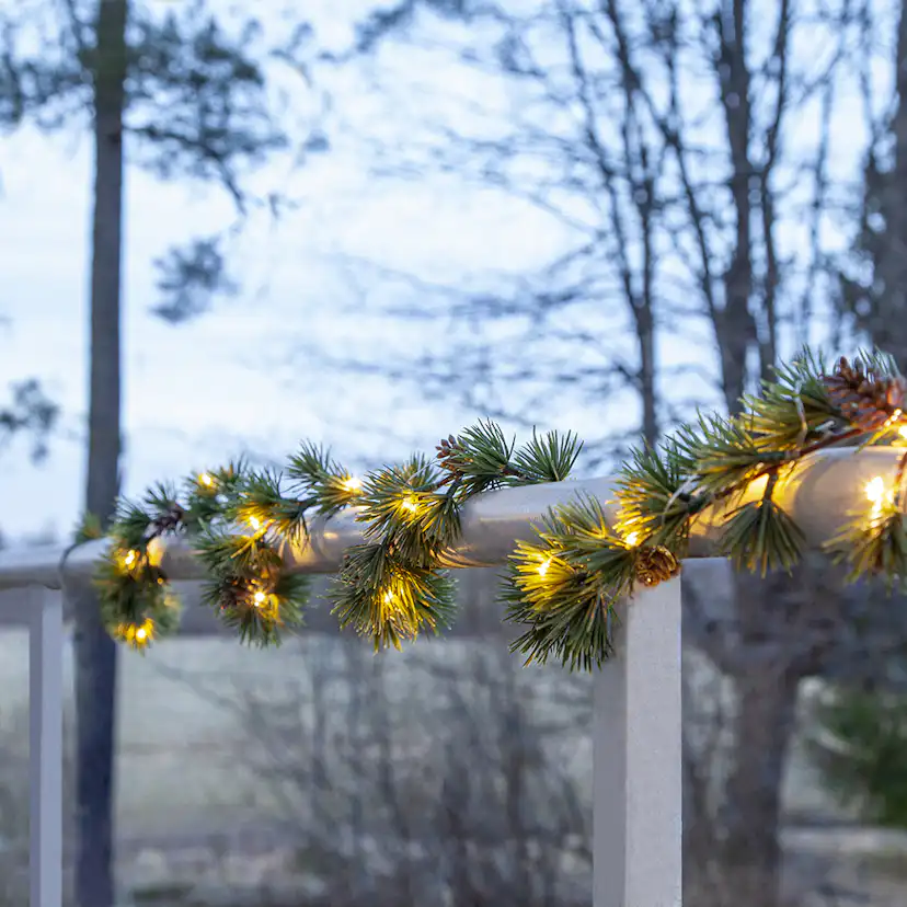 Grangirlang Star Trading Larix