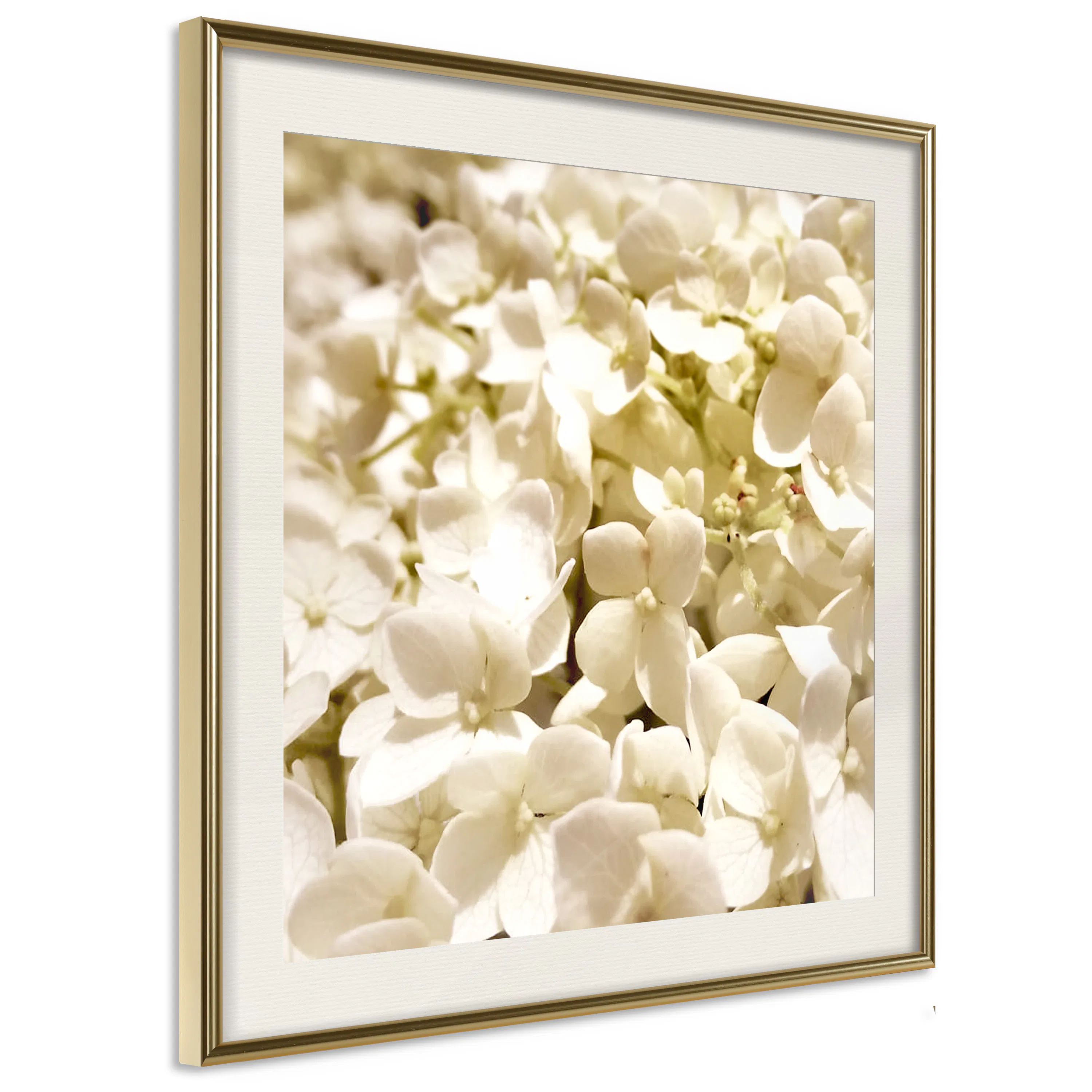 Poster Artgeist Affisch White Meadow