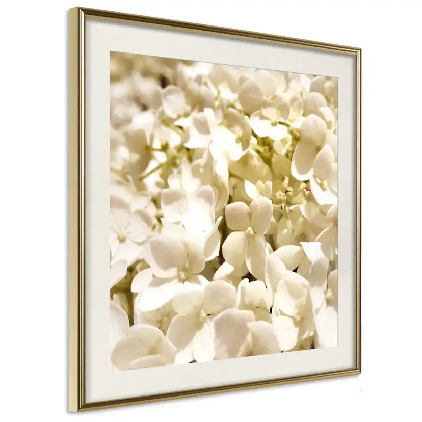 Poster Artgeist Affisch White Meadow